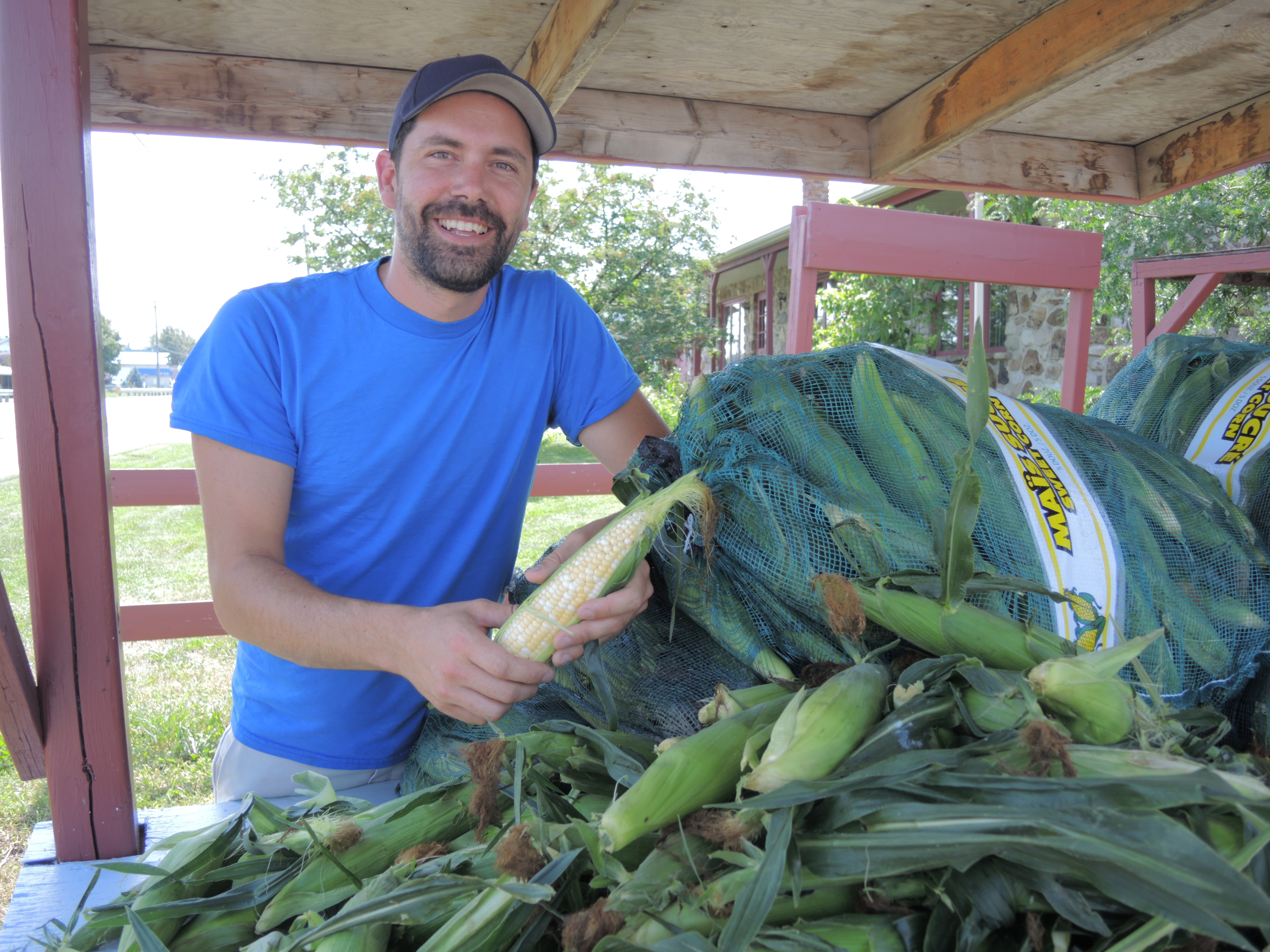 Le blé d’Inde est en retard mais n’est pas moins sucré