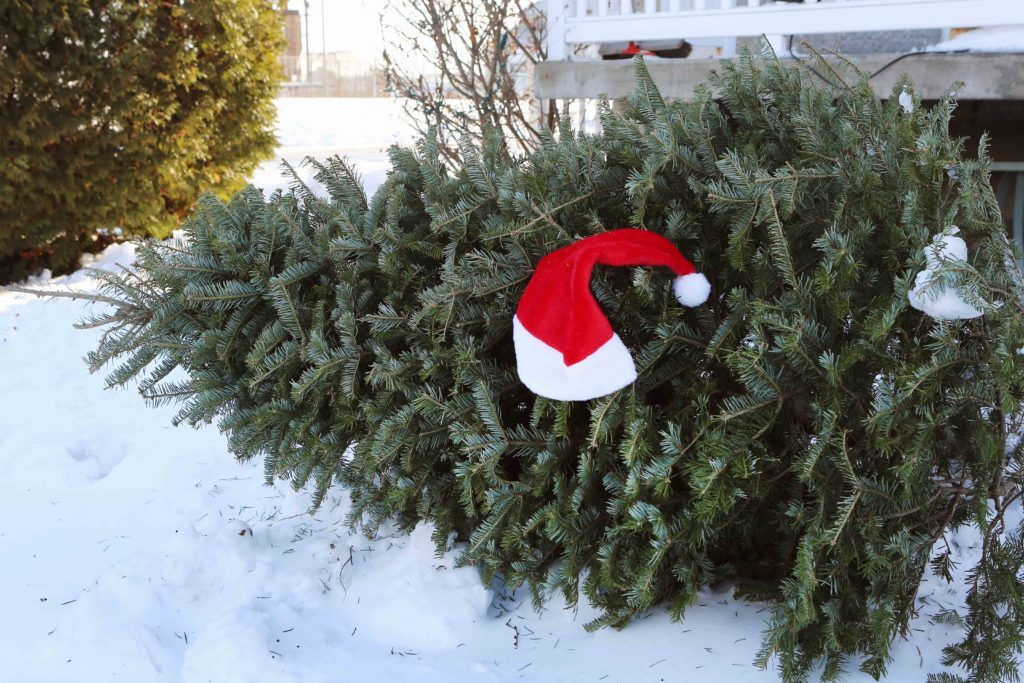 Comment faire un cadeau à la planète dans le temps des Fêtes