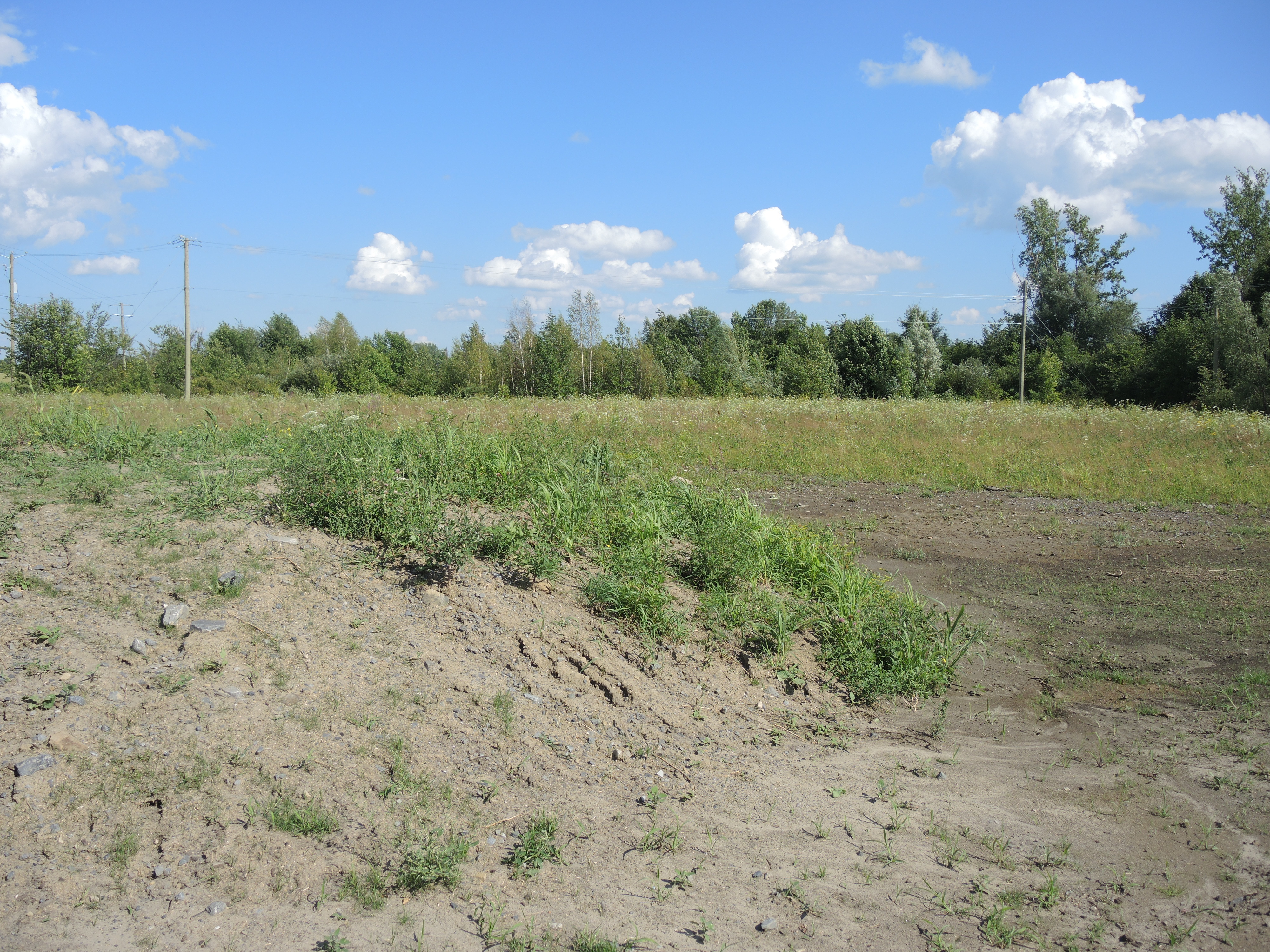 Emprunt de 1,6M$ pour un bassin de rétention adopté à Mercier