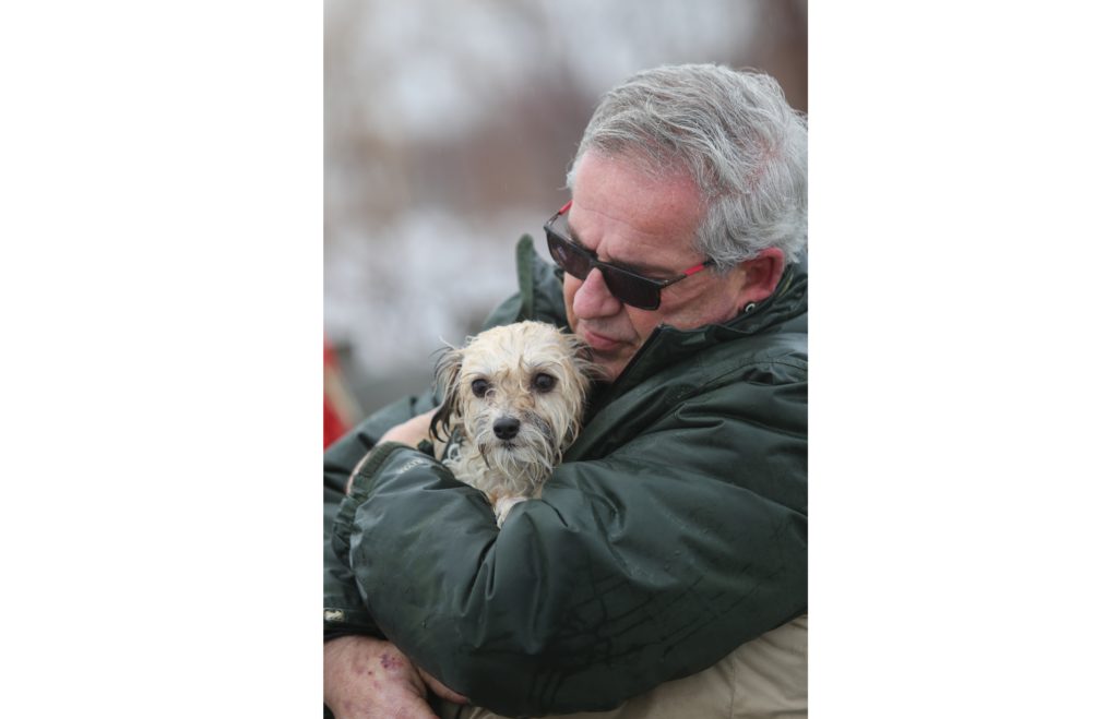 Image illustrant l'article: Sauvetage d’une chienne sur les glaces du Saint-Laurent