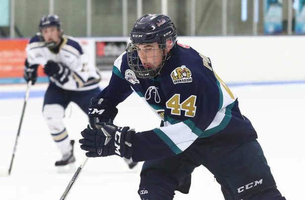 Image illustrant l'article: Les Grenadiers en feu comptent sur leurs fans pour souffler le Blizzard