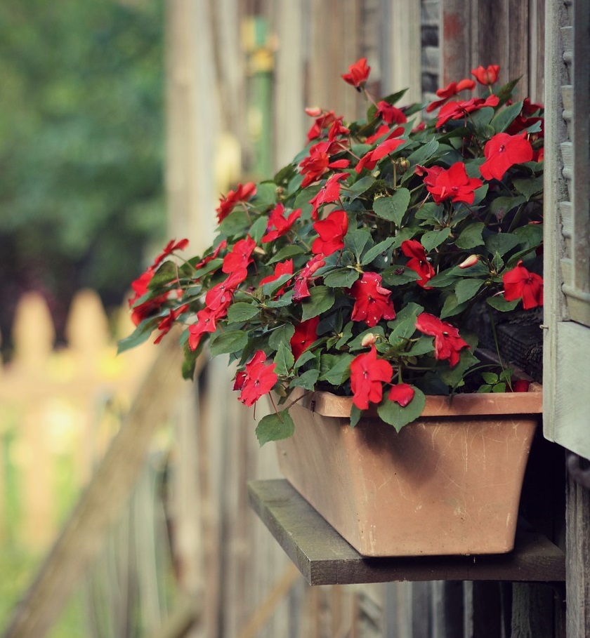 Sainte-Martine lance son concours Jardins Fleuris