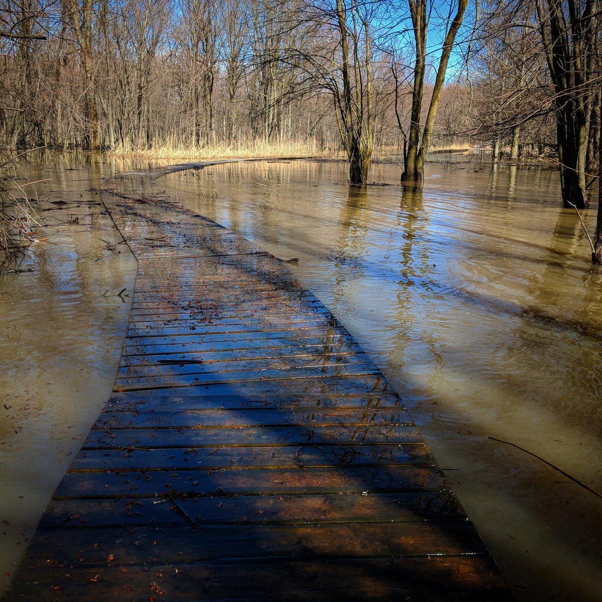 Image illustrant l'article: Île Saint-Bernard: sentiers fermés en raison d’inondations