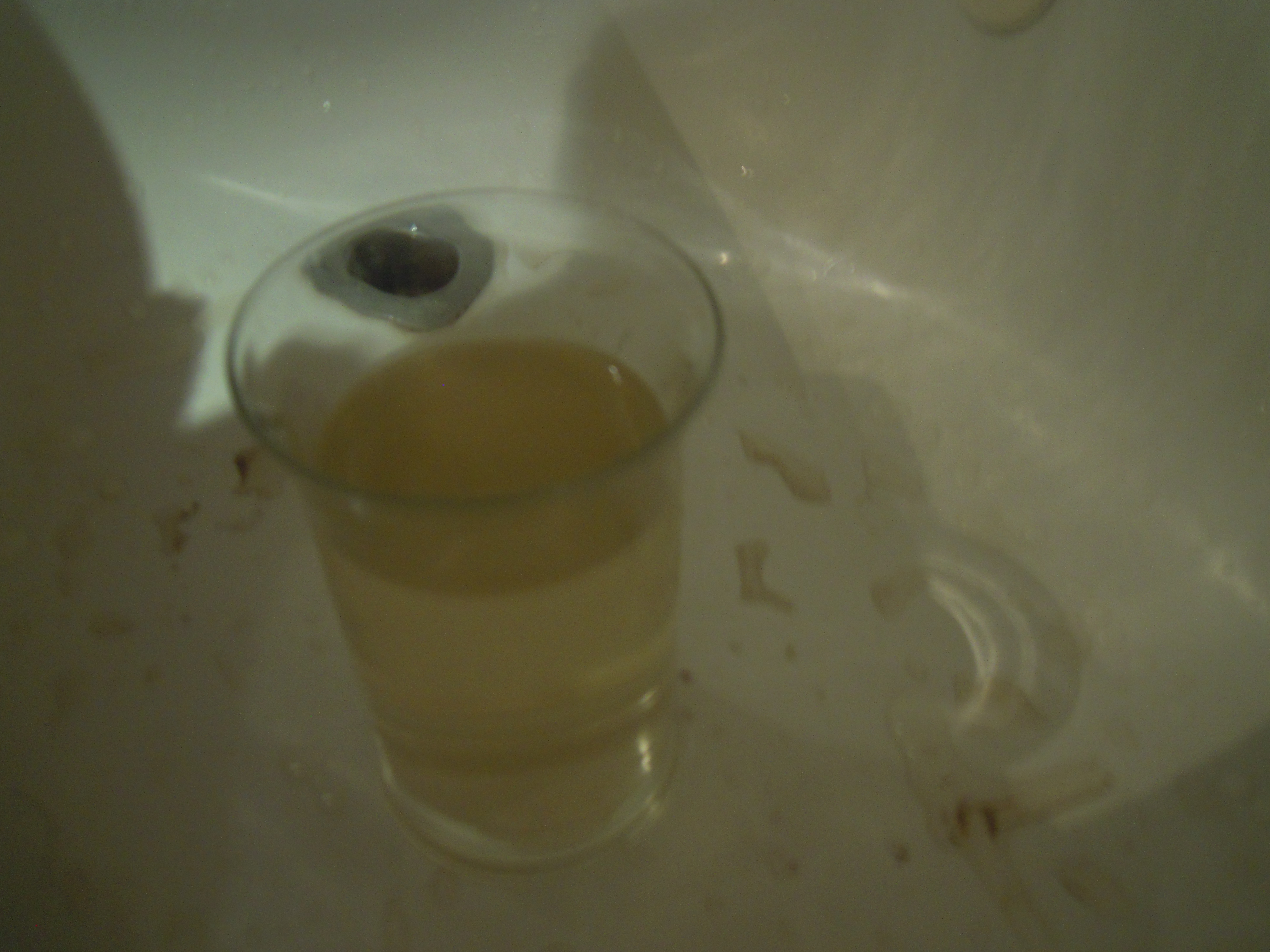 Image illustrant l'article: Eau jaune : Châteauguay rafraîchit les mémoires sur l'usage du boyau d'arrosage