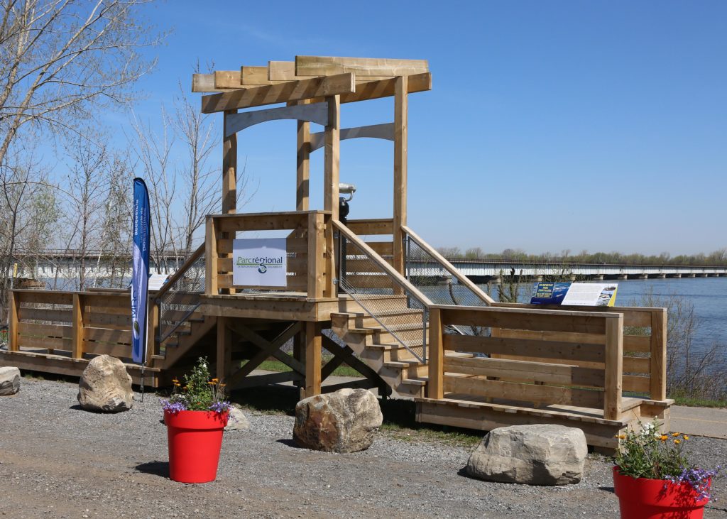 Un septuagénaire arrêté pour action indécente