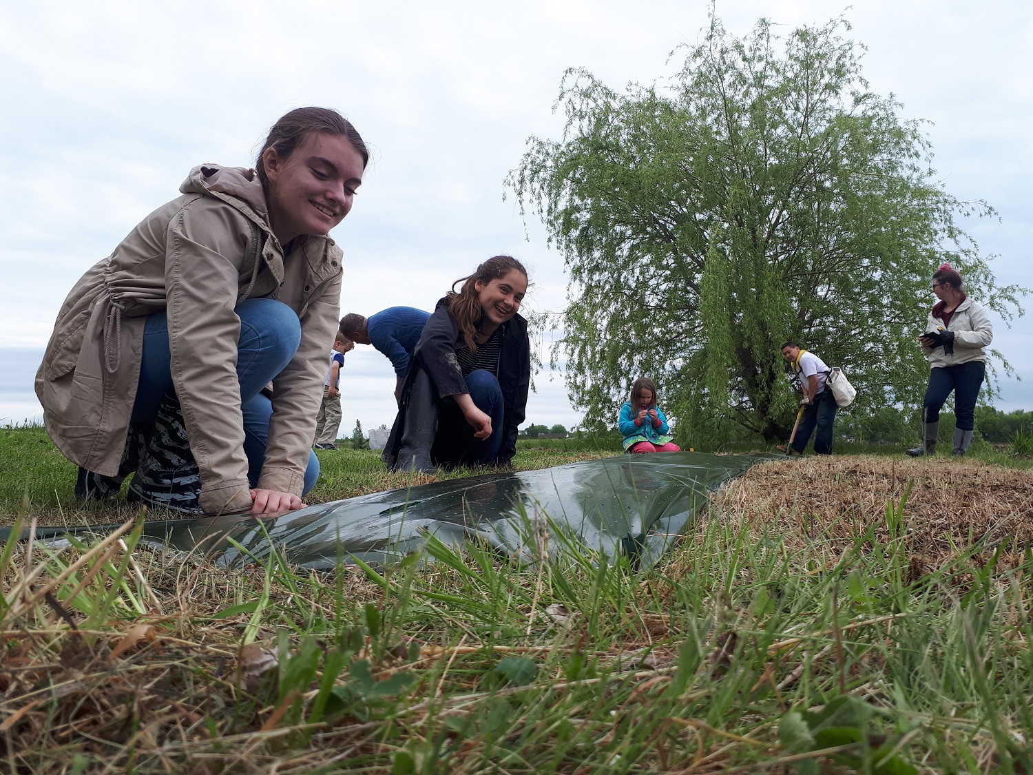 Image illustrant l'article: Plantation d’arbres à Léry