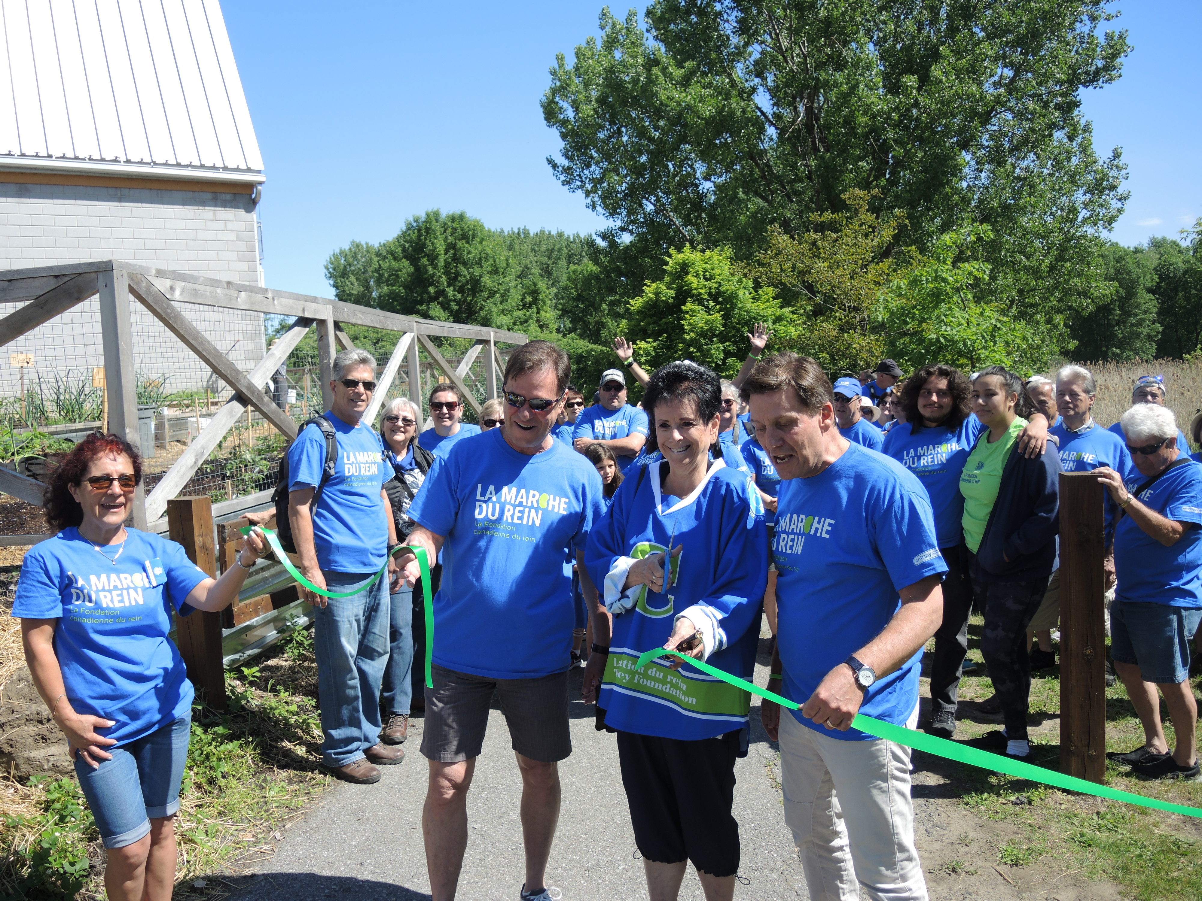 Image illustrant l'article: Marche ensoleillée pour les maladies du rein
