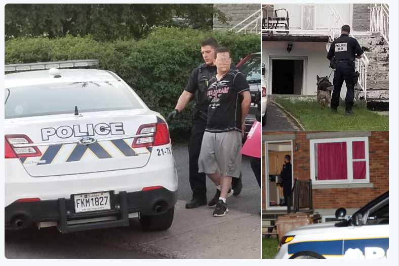 Image illustrant l'article: Vaste opération antidrogue : 17 arrestations