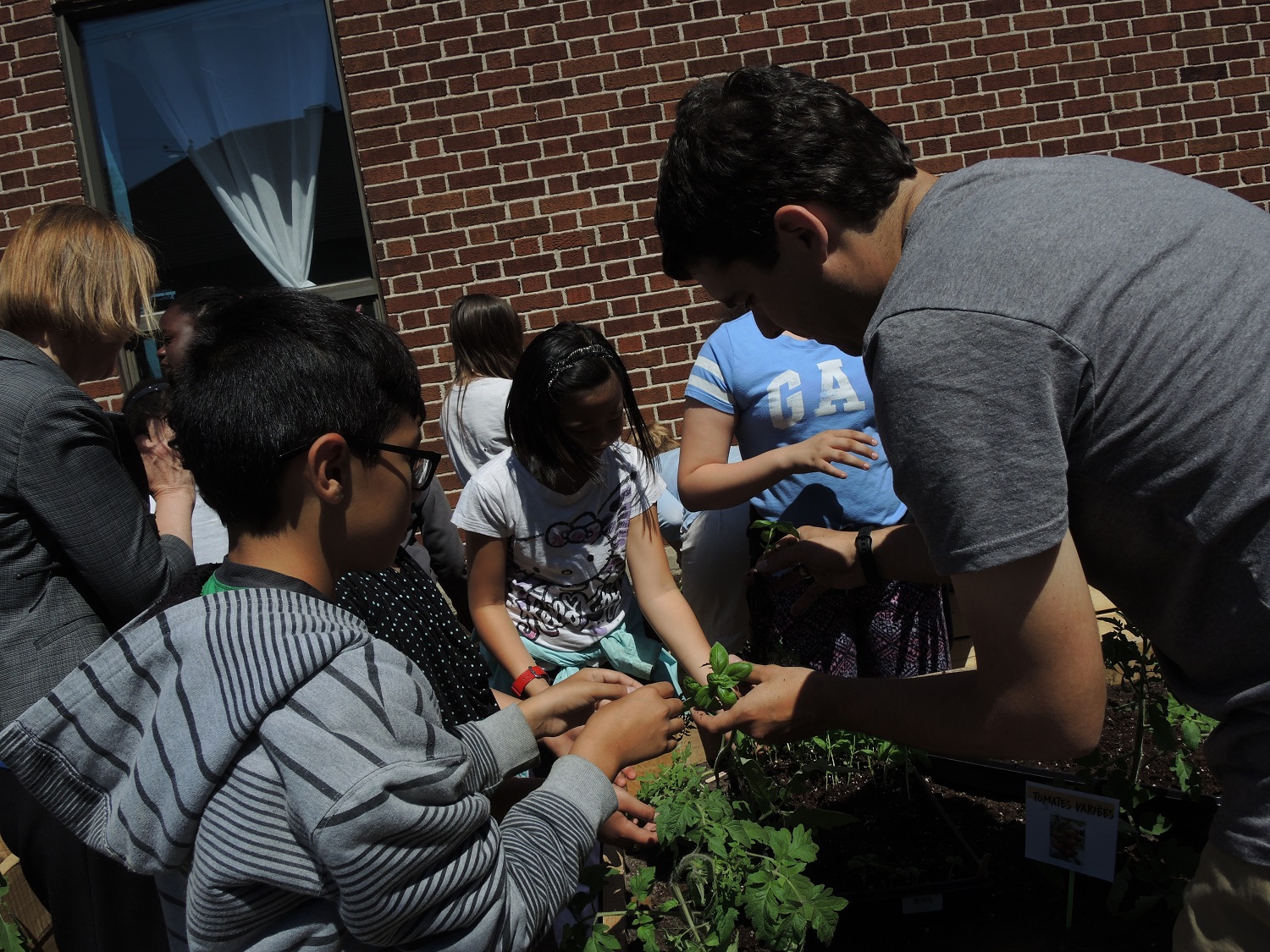 Image illustrant l'article: Un jardin intergénérationnel pour le Quartier des Femmes