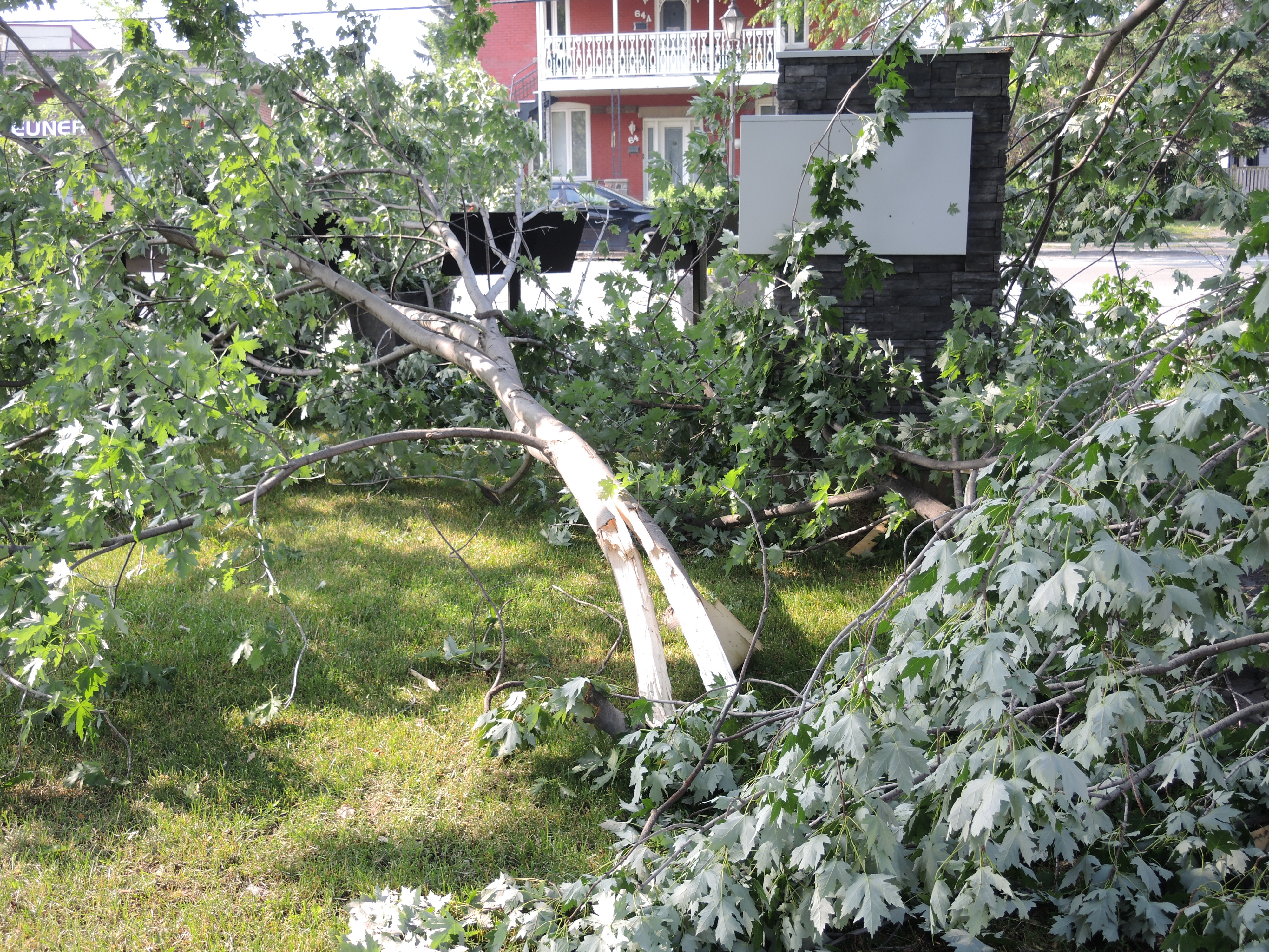 Image illustrant l'article: L'orage fait des ravages à Beauharnois