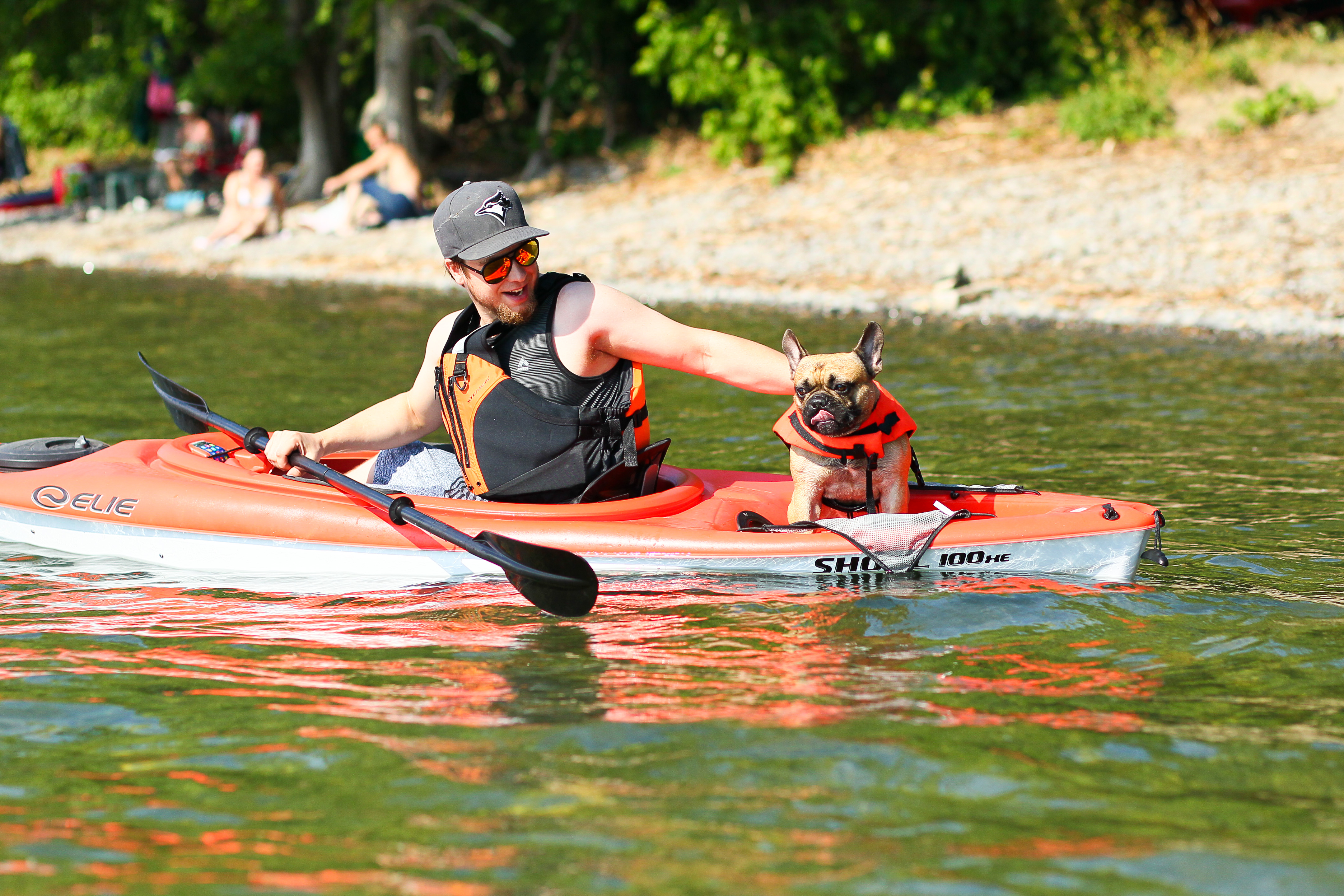 Image illustrant l'article: Le gilet de sauvetage, c'est aussi pour les chiens !