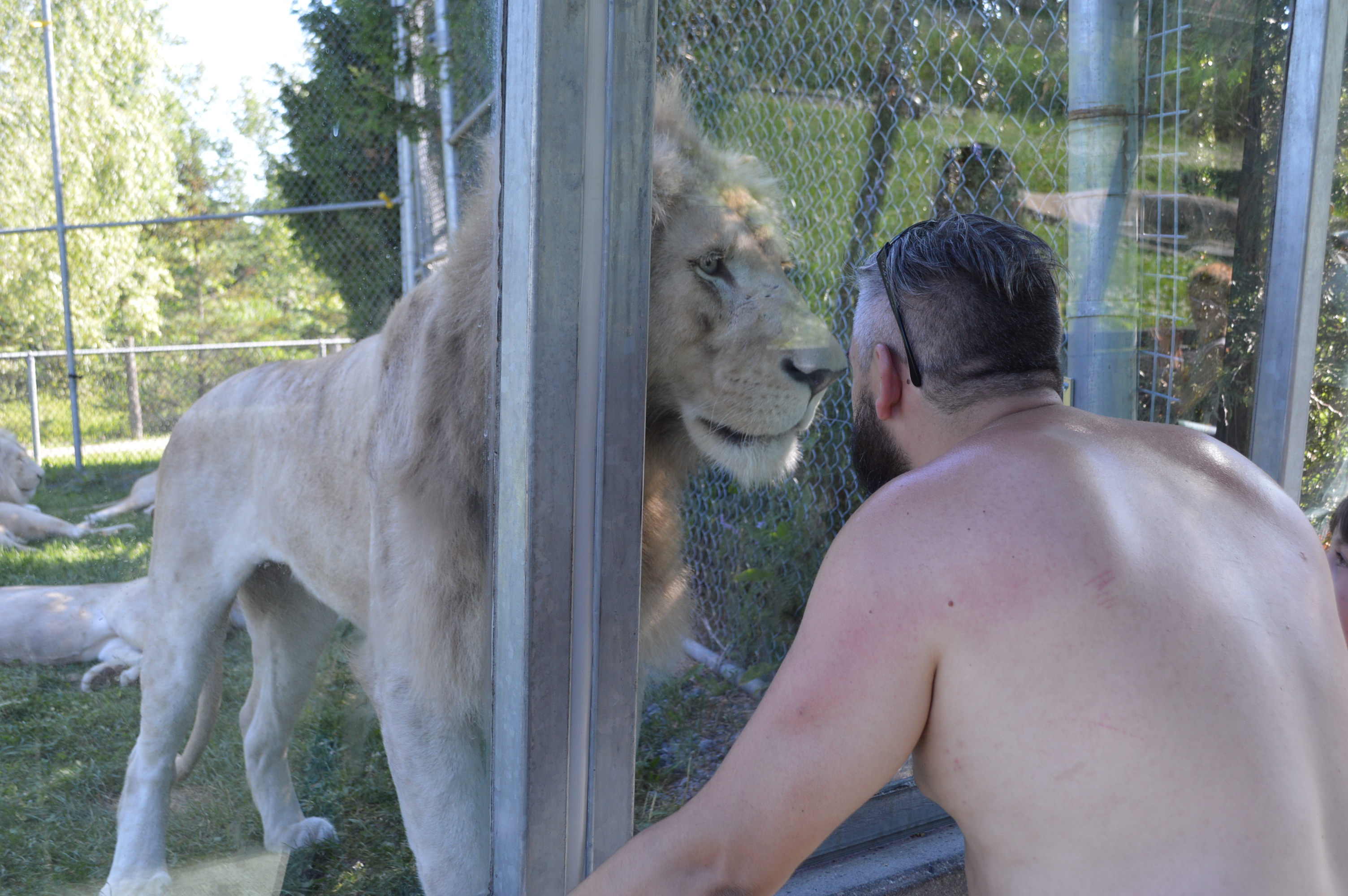 Image illustrant l'article: Sortie familiale réussie au Parc Safari
