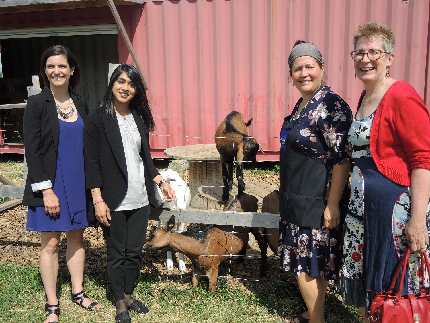 Image illustrant l'article: Le Circuit du Paysan a 20 ans