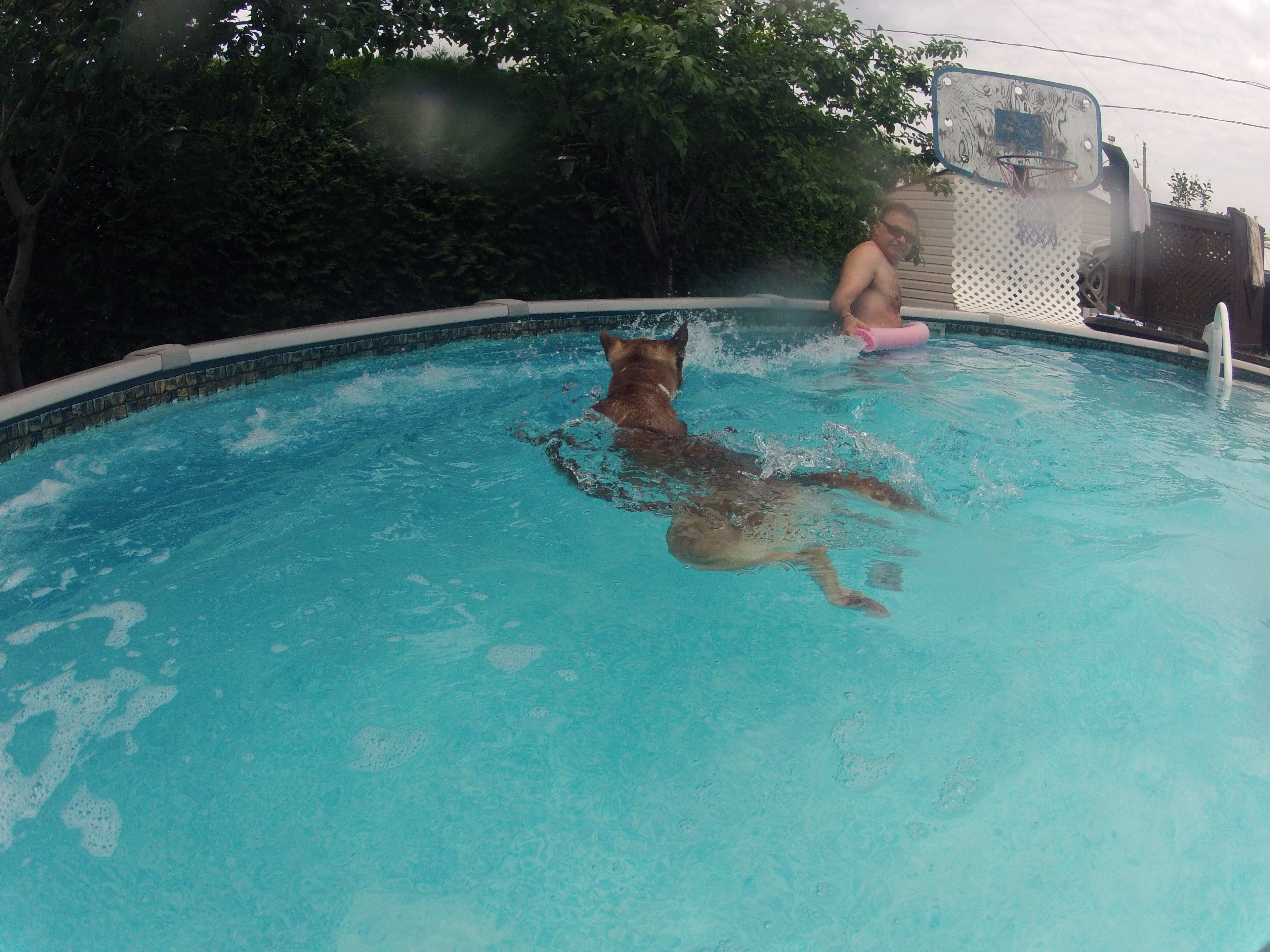 Image illustrant l'article: Châteauguay autorise le remplissage des piscines