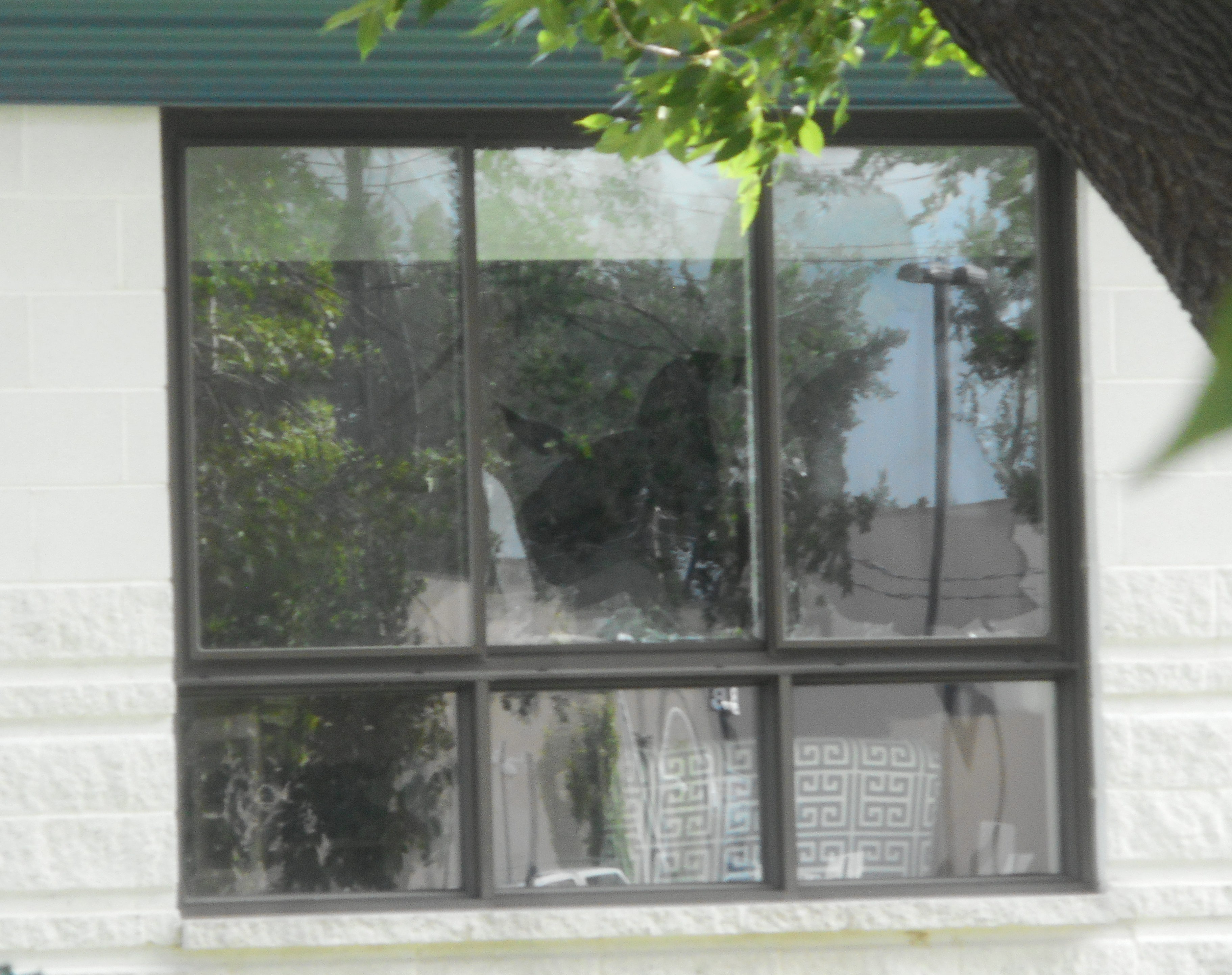 Un homme en crise arrêté à l&rsquo;hôpital