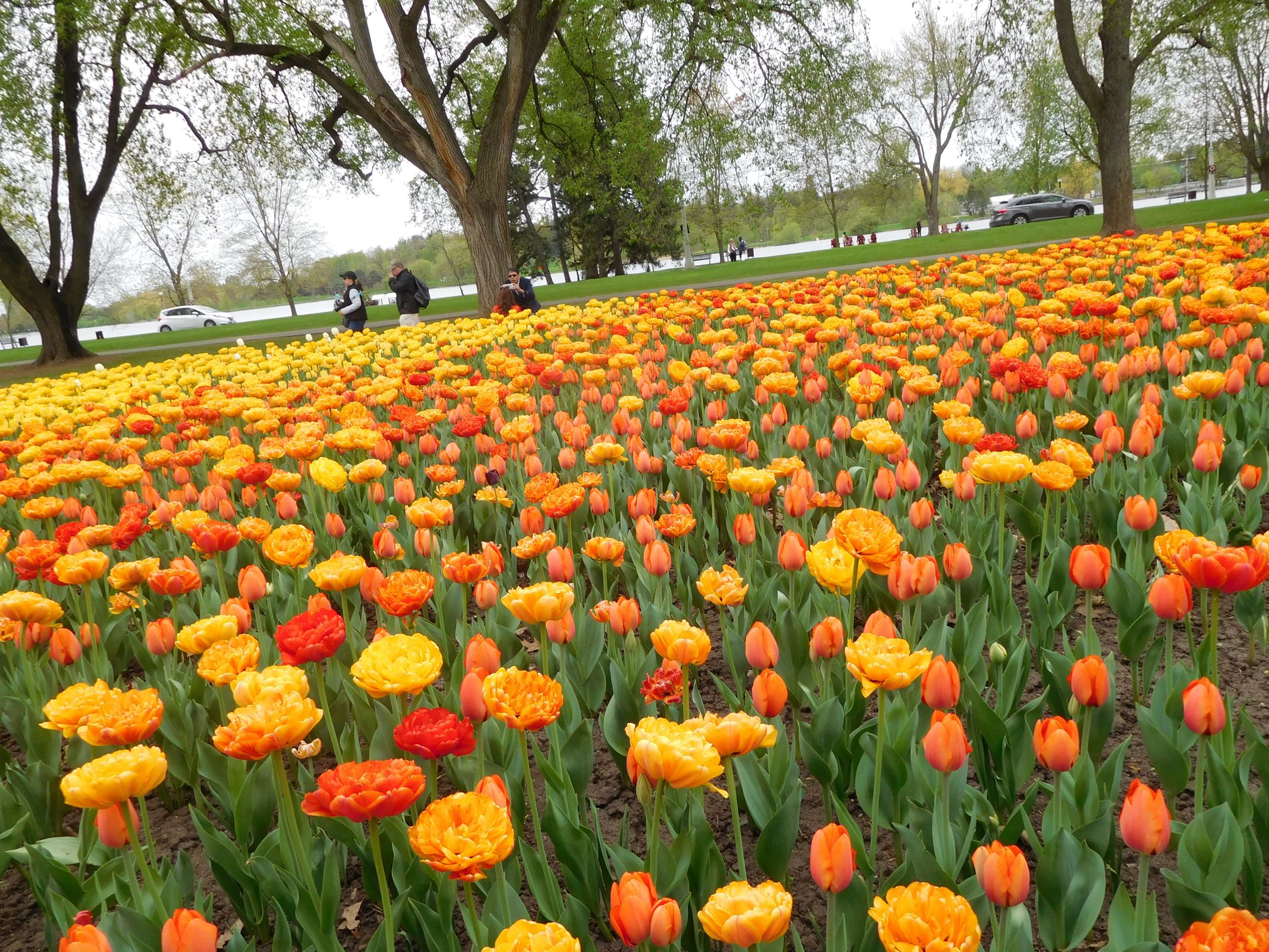 Les retraités du secteur public recrutent