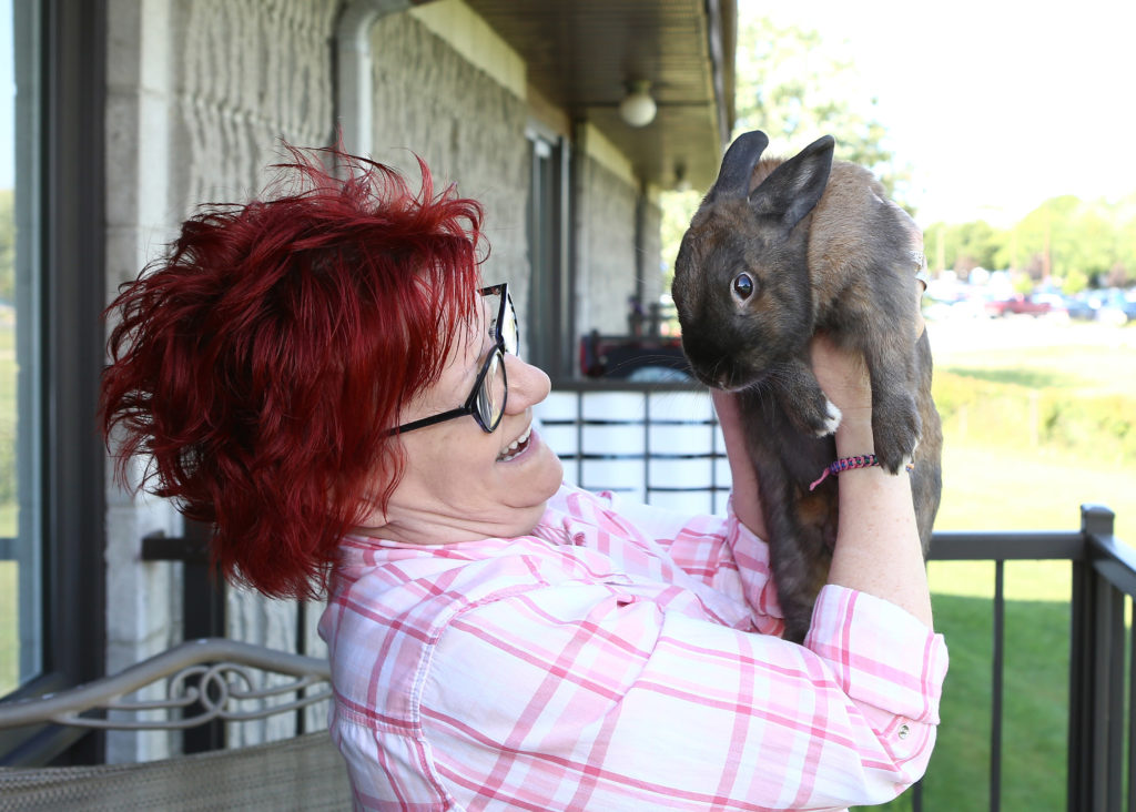 À la Régie du logement à cause de son lapin