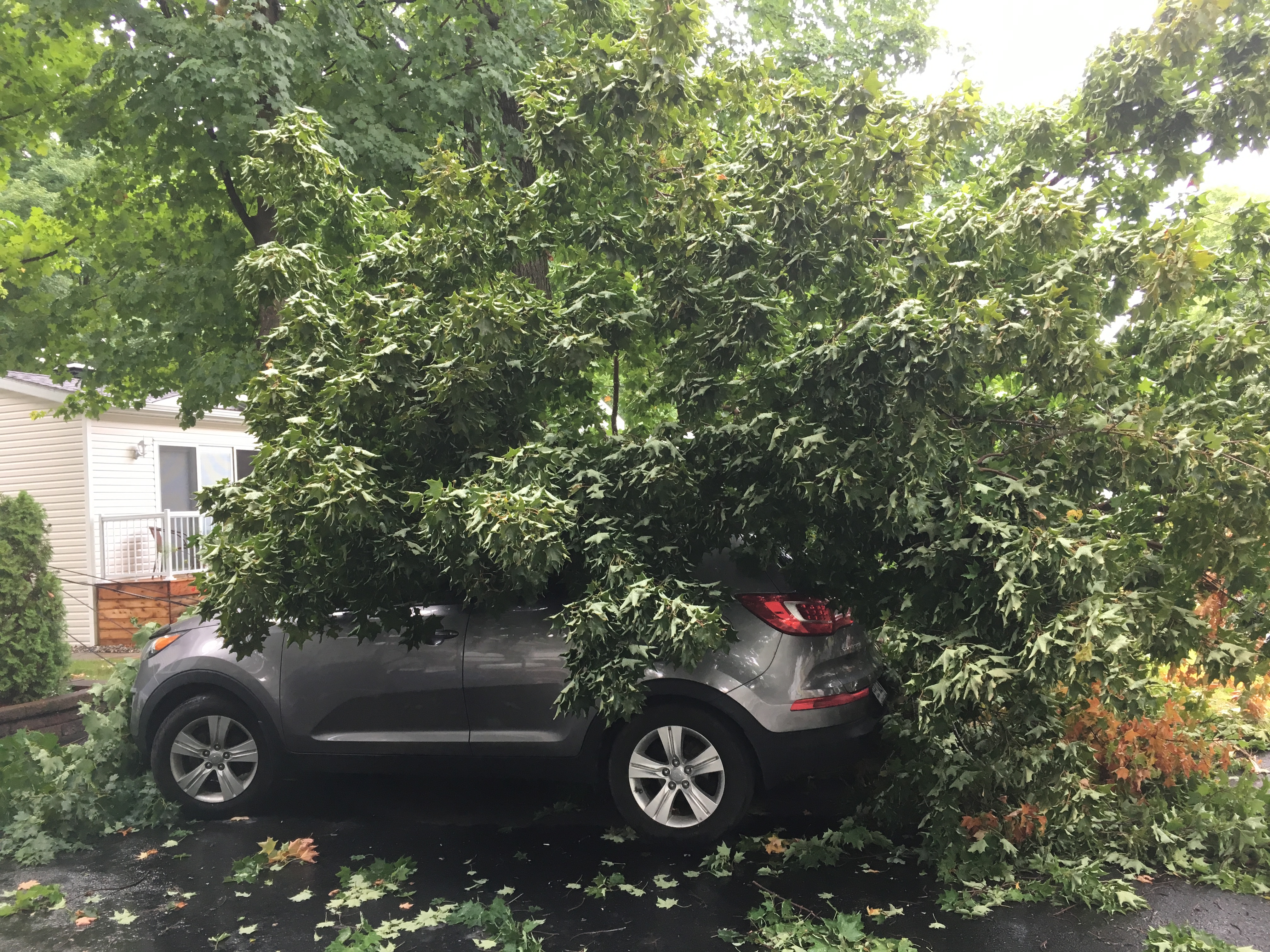 Pannes électriques et arbres cassés