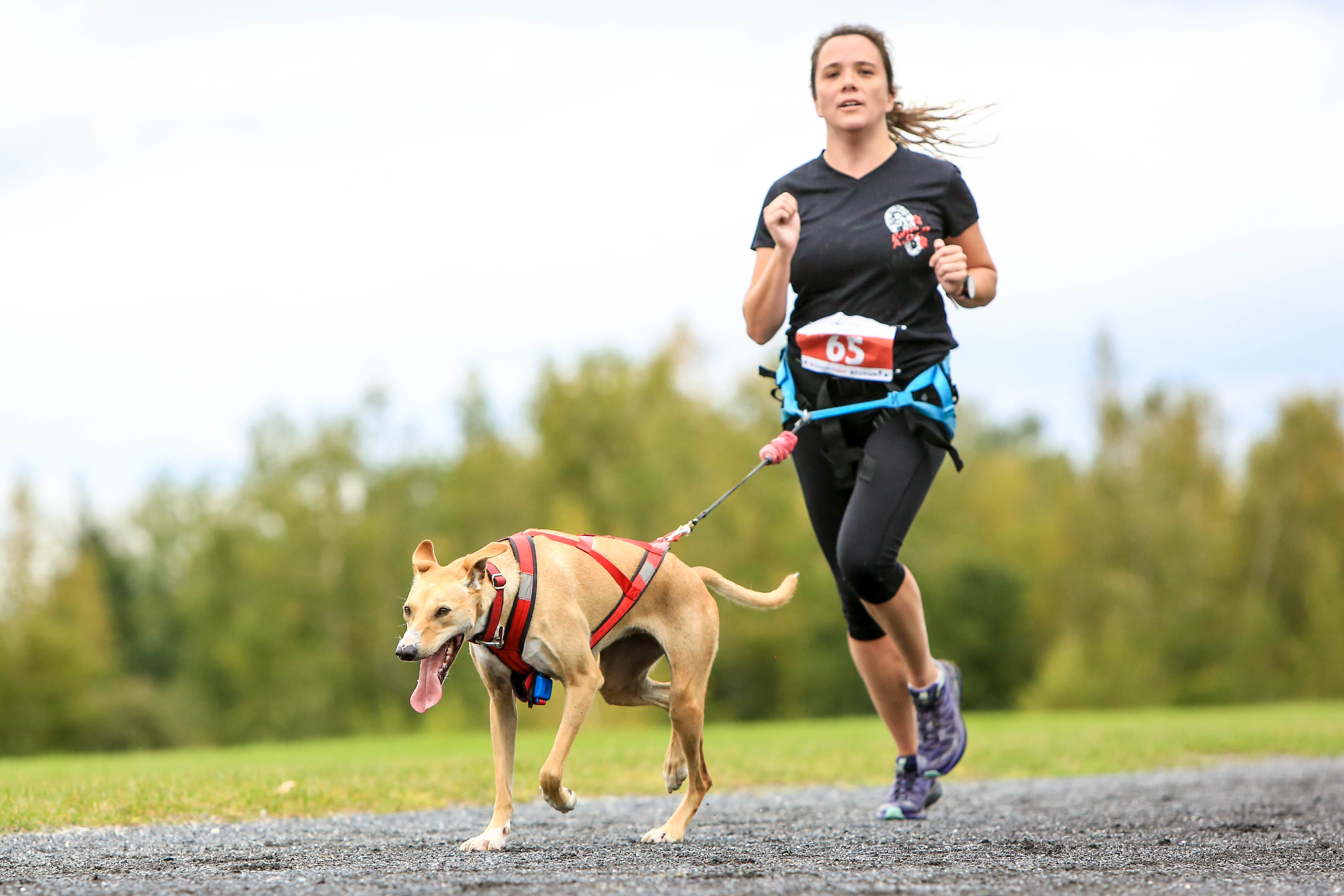 La course de sa vie avec un chien prêté