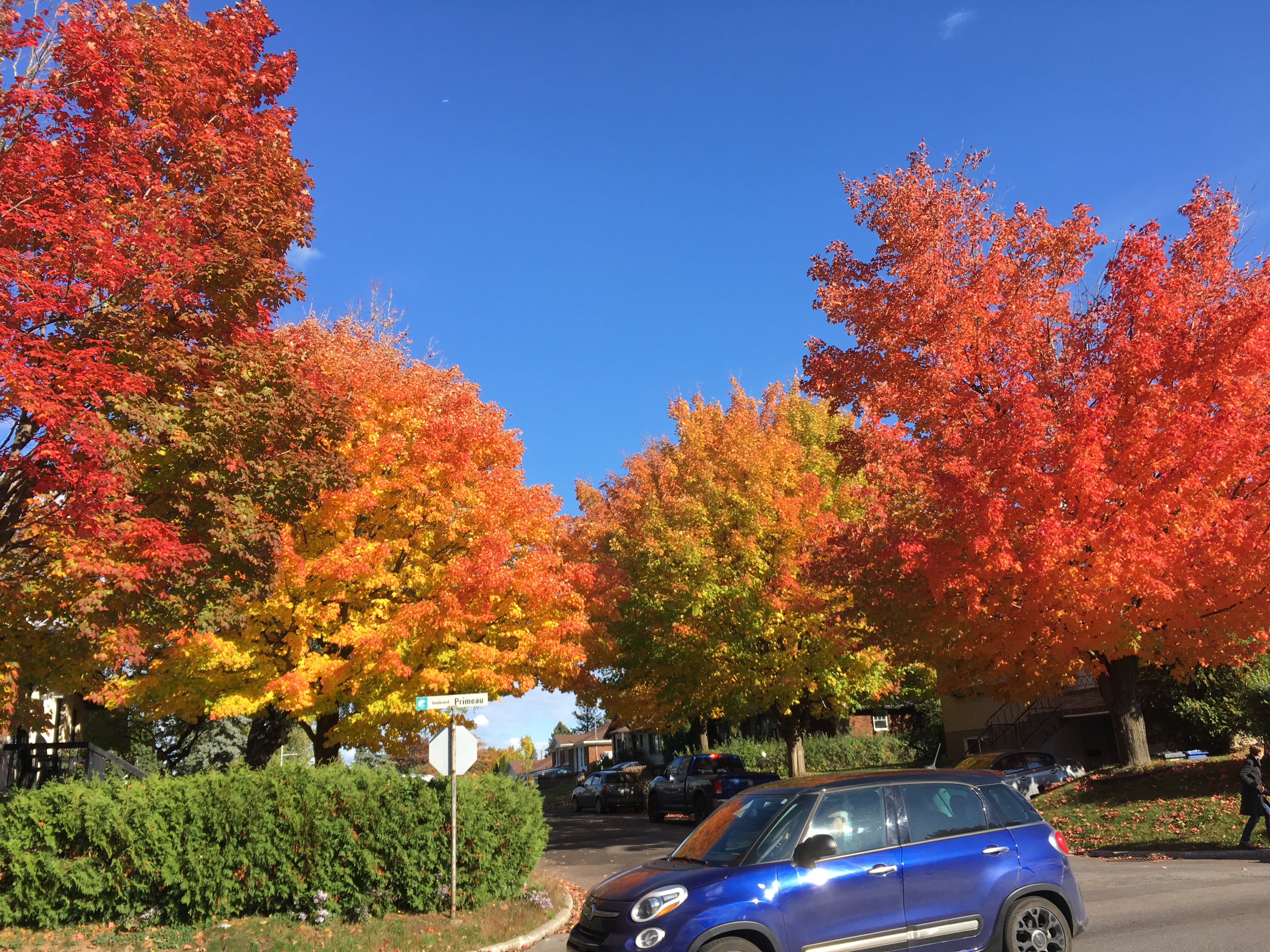 L&rsquo;automne affiche ses couleurs