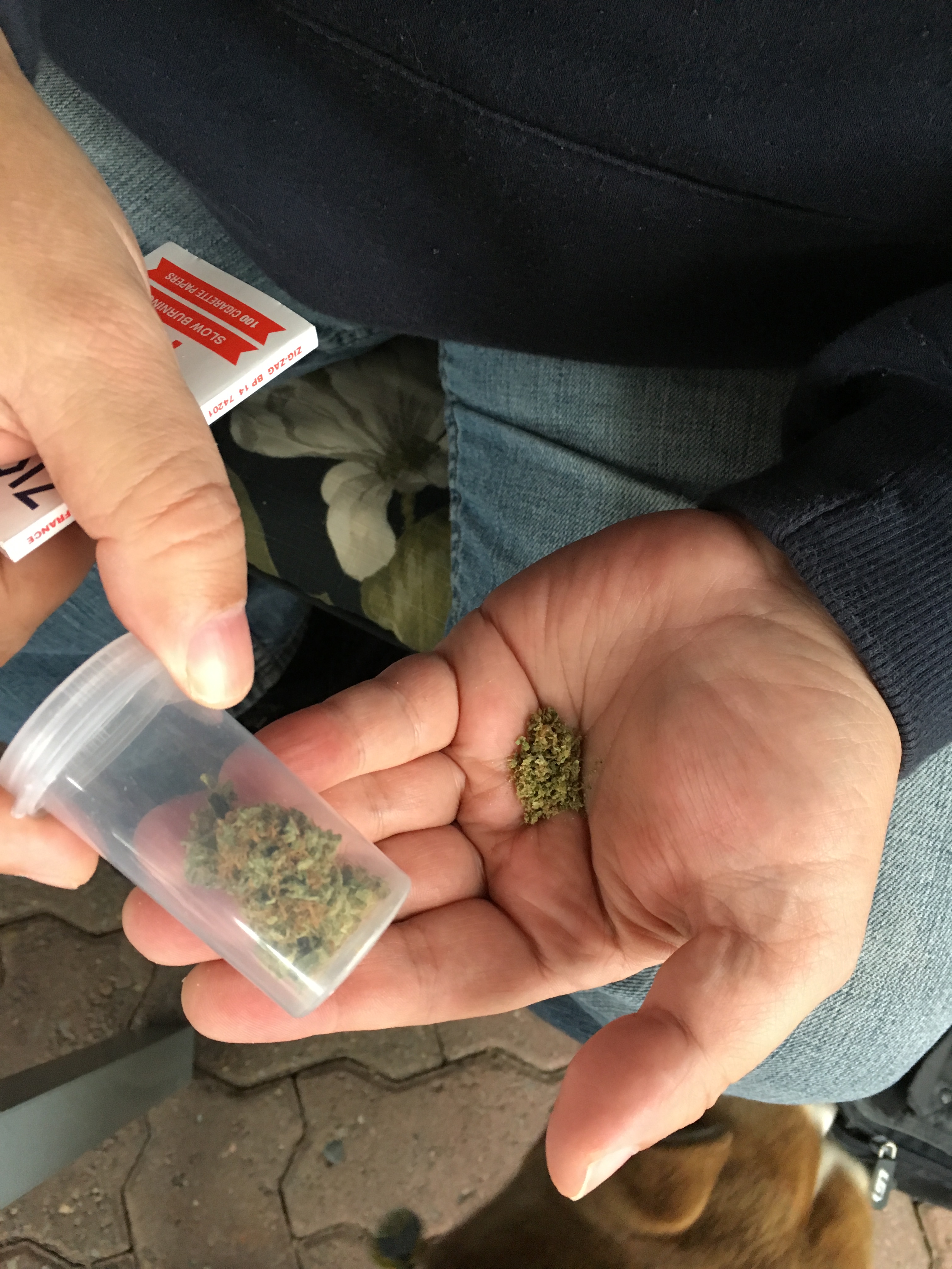 (Vidéo) Comment rouler un joint