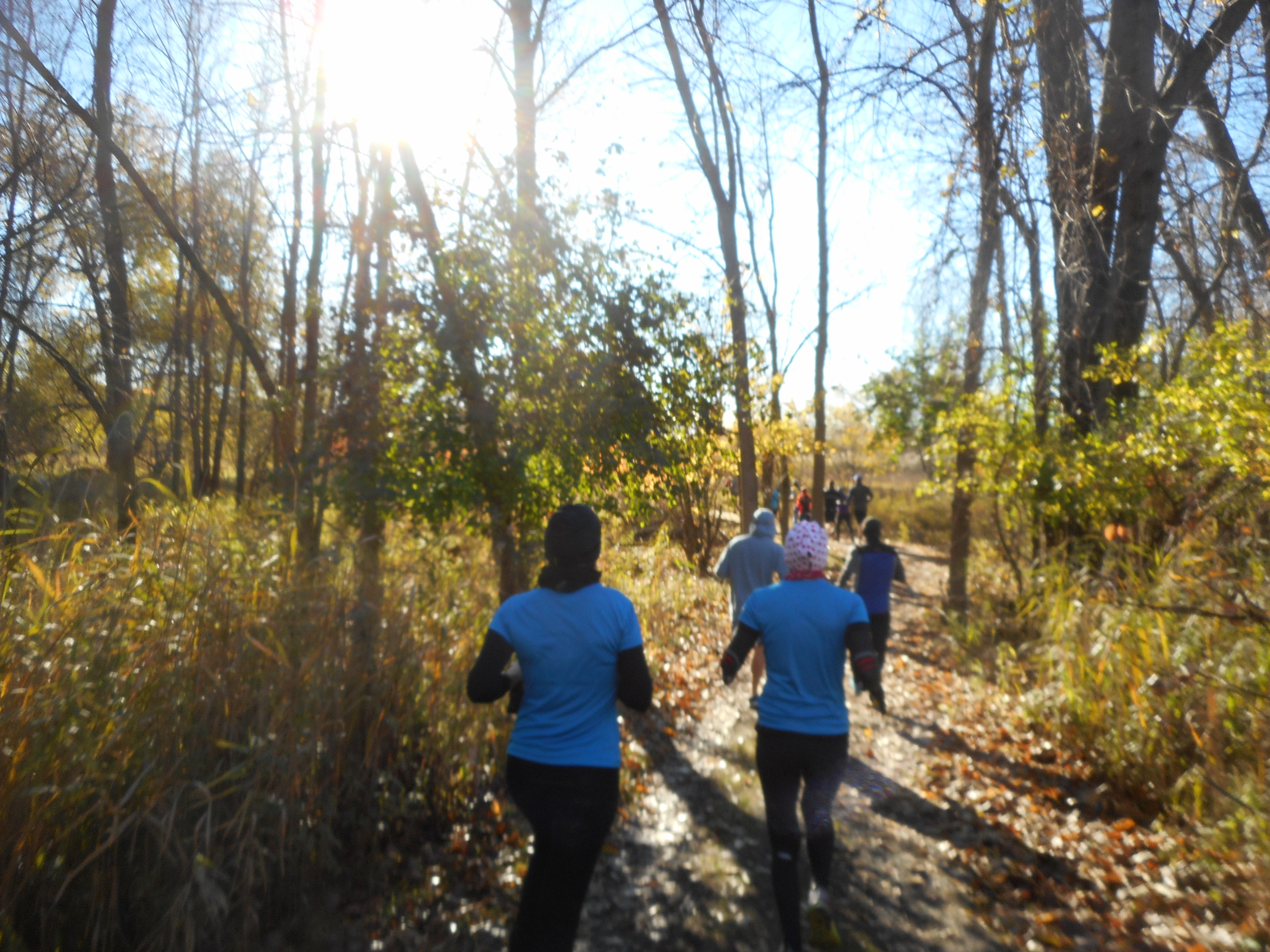 Course dans l&rsquo;île Saint-Bernard le 4 novembre