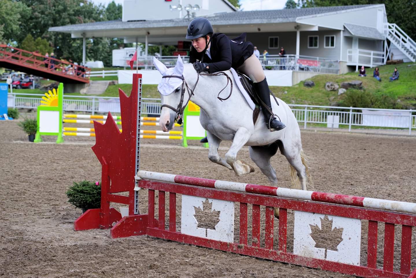Image illustrant l'article: Parmi les meilleurs aux Jeux équestres du Québec