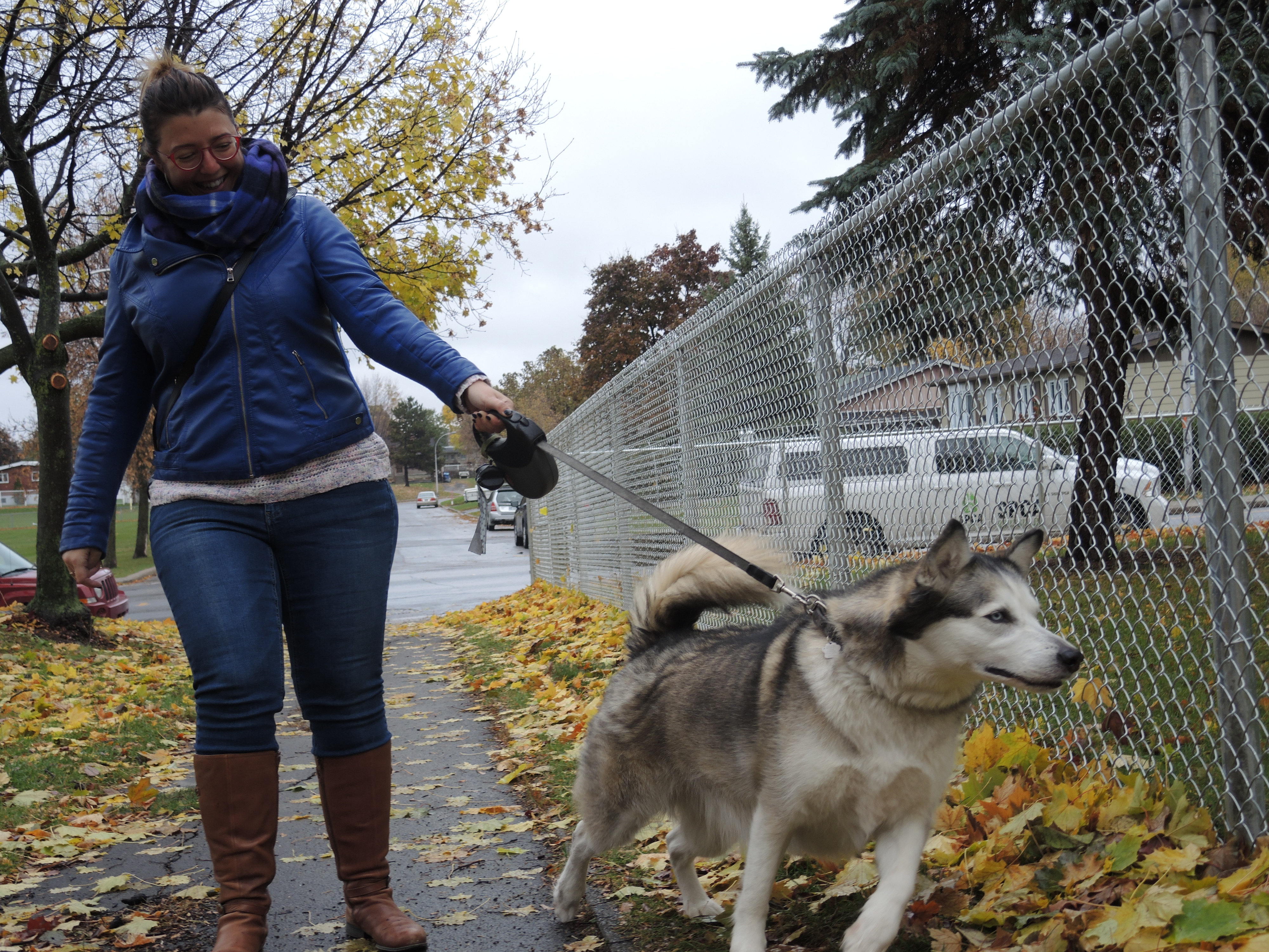 Image illustrant l'article: Un parc de plus pour promener pitou en laisse