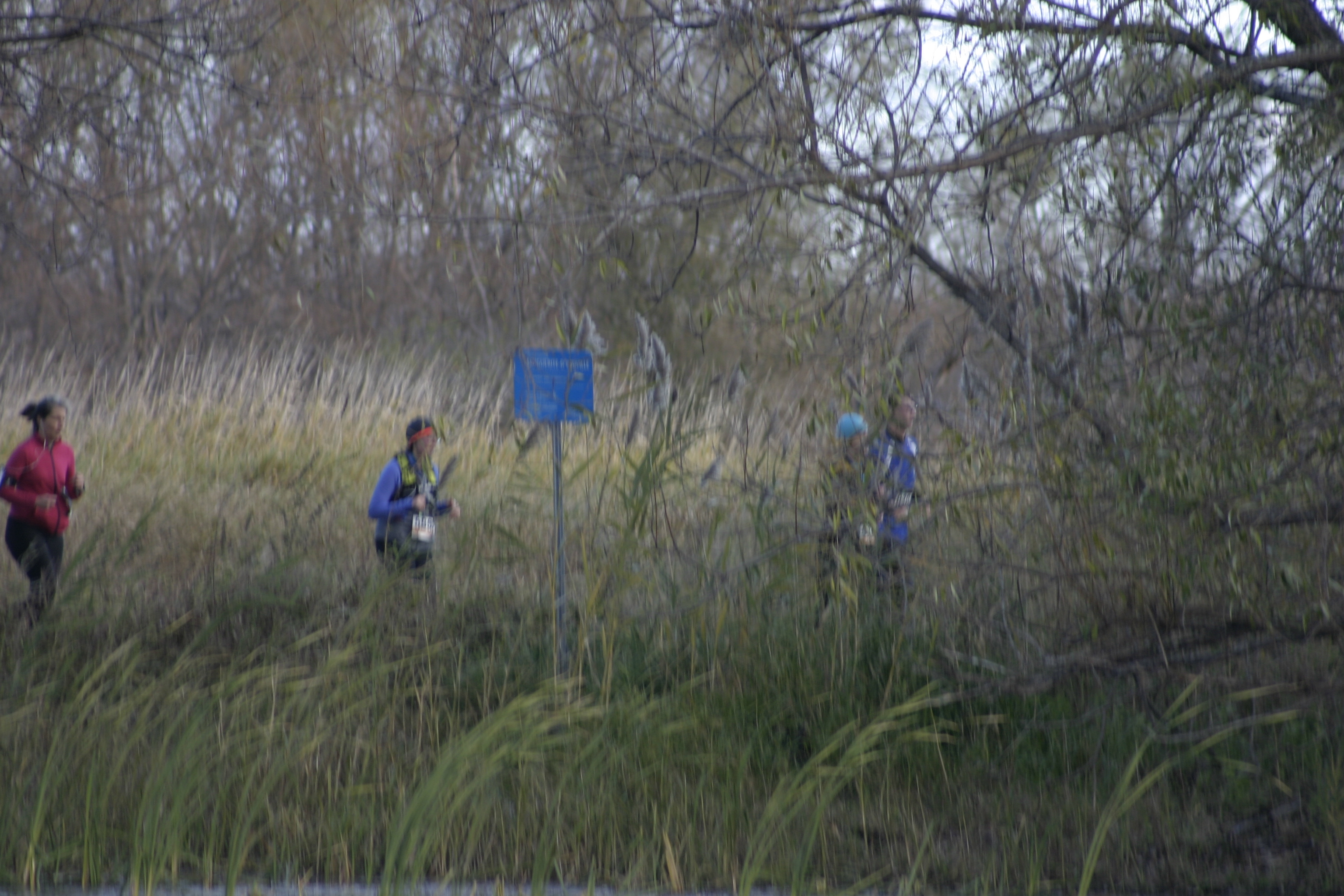 Image illustrant l'article: 600 coureurs dans l'île Saint-Bernard à Châteauguay