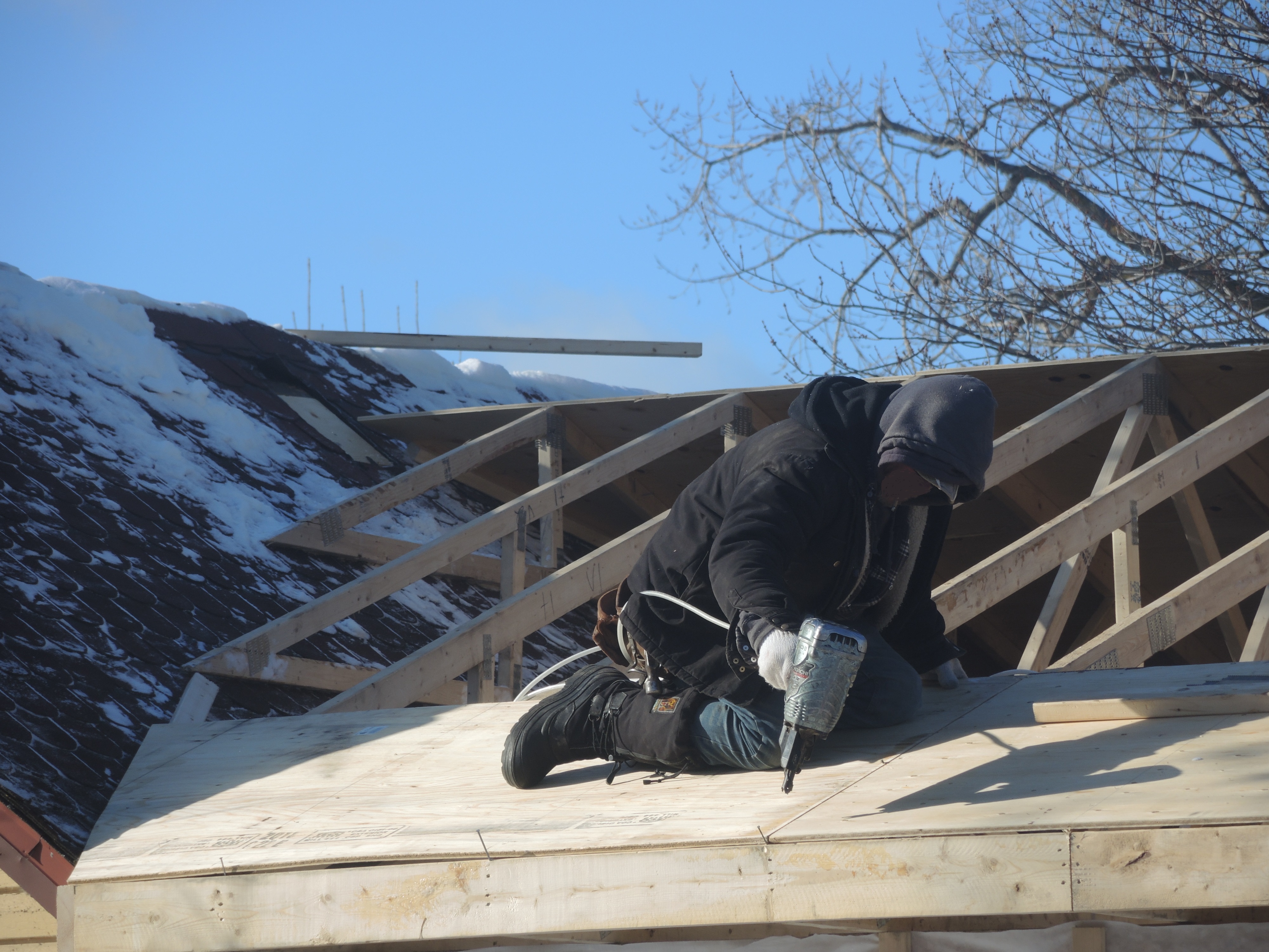 Image illustrant l'article: Froid record