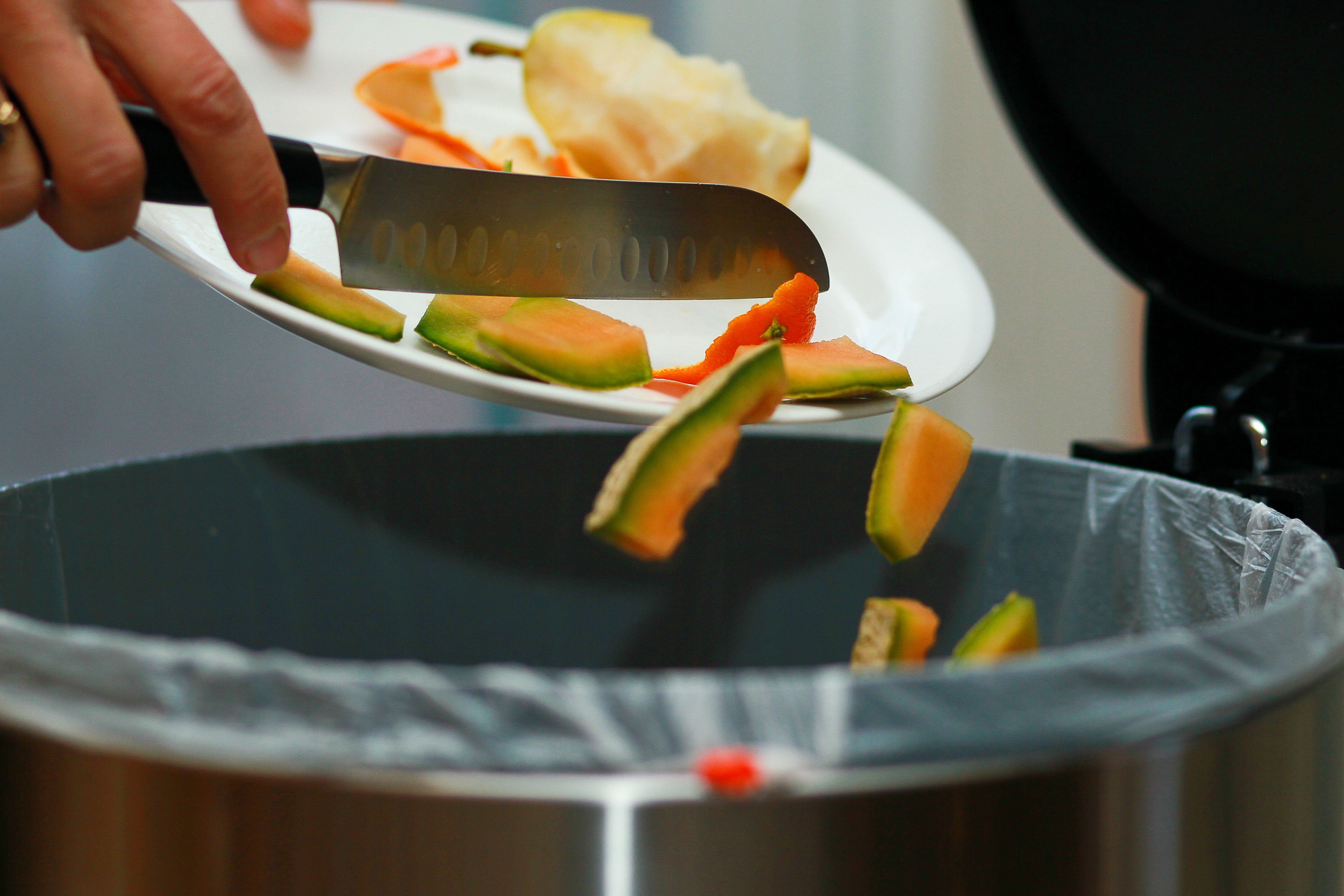 Image illustrant l'article: Vert 2019 : sacs de plastique bannis et bacs bruns en vue