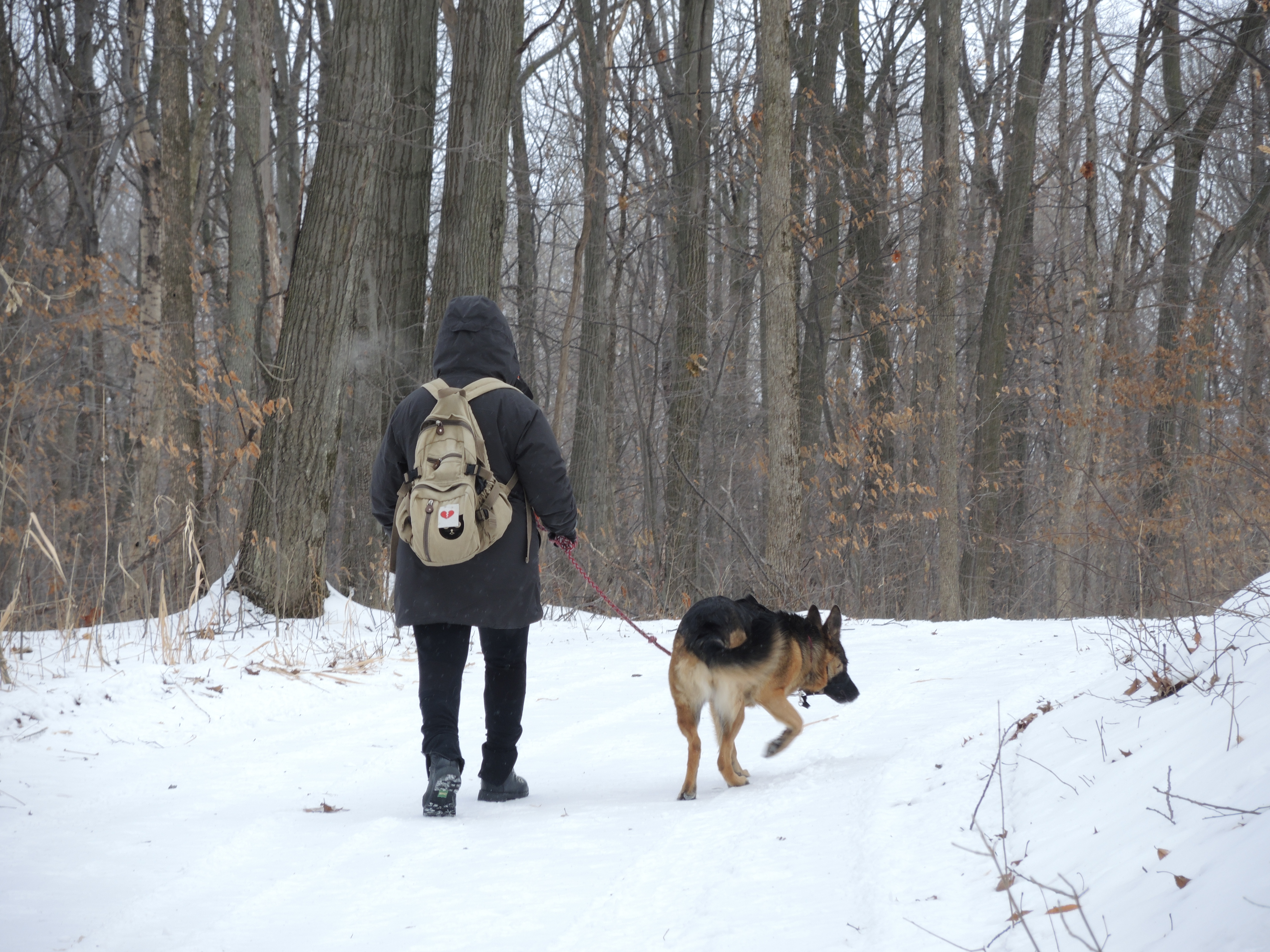 Beauharnois à bois ouvert