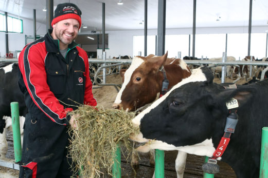 Une ferme laitière totalement informatisée et aux vaches en liberté