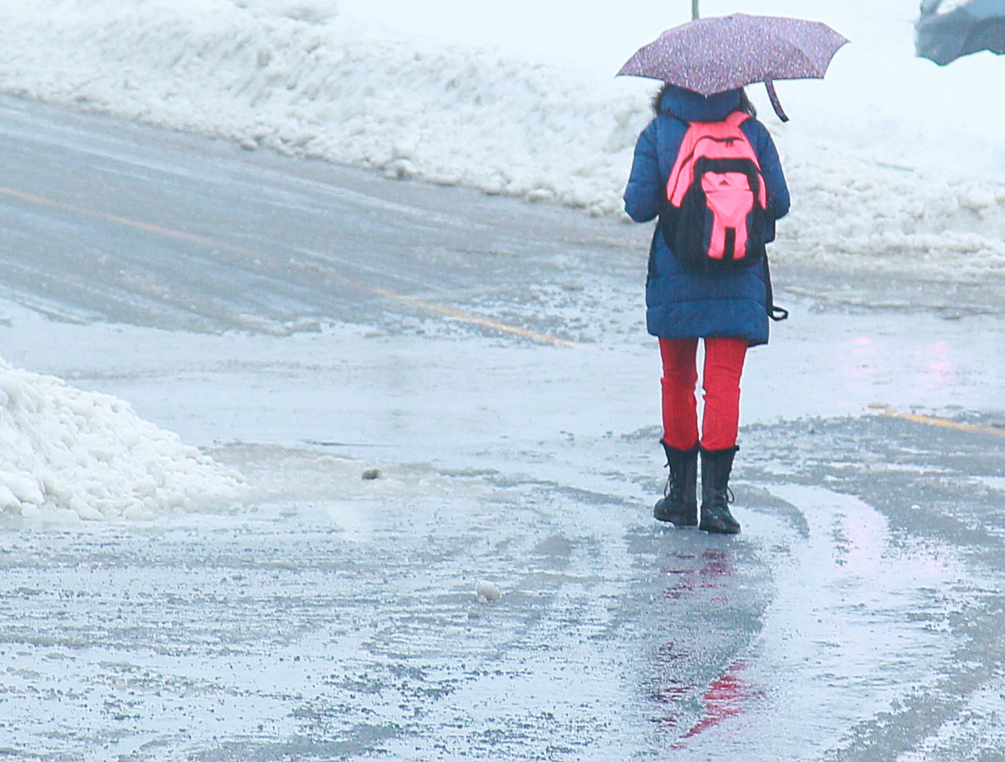 Image illustrant l'article: Un hiver d'extrêmes