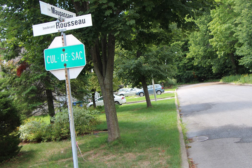Projet en zone boisée abandonné à Châteauguay