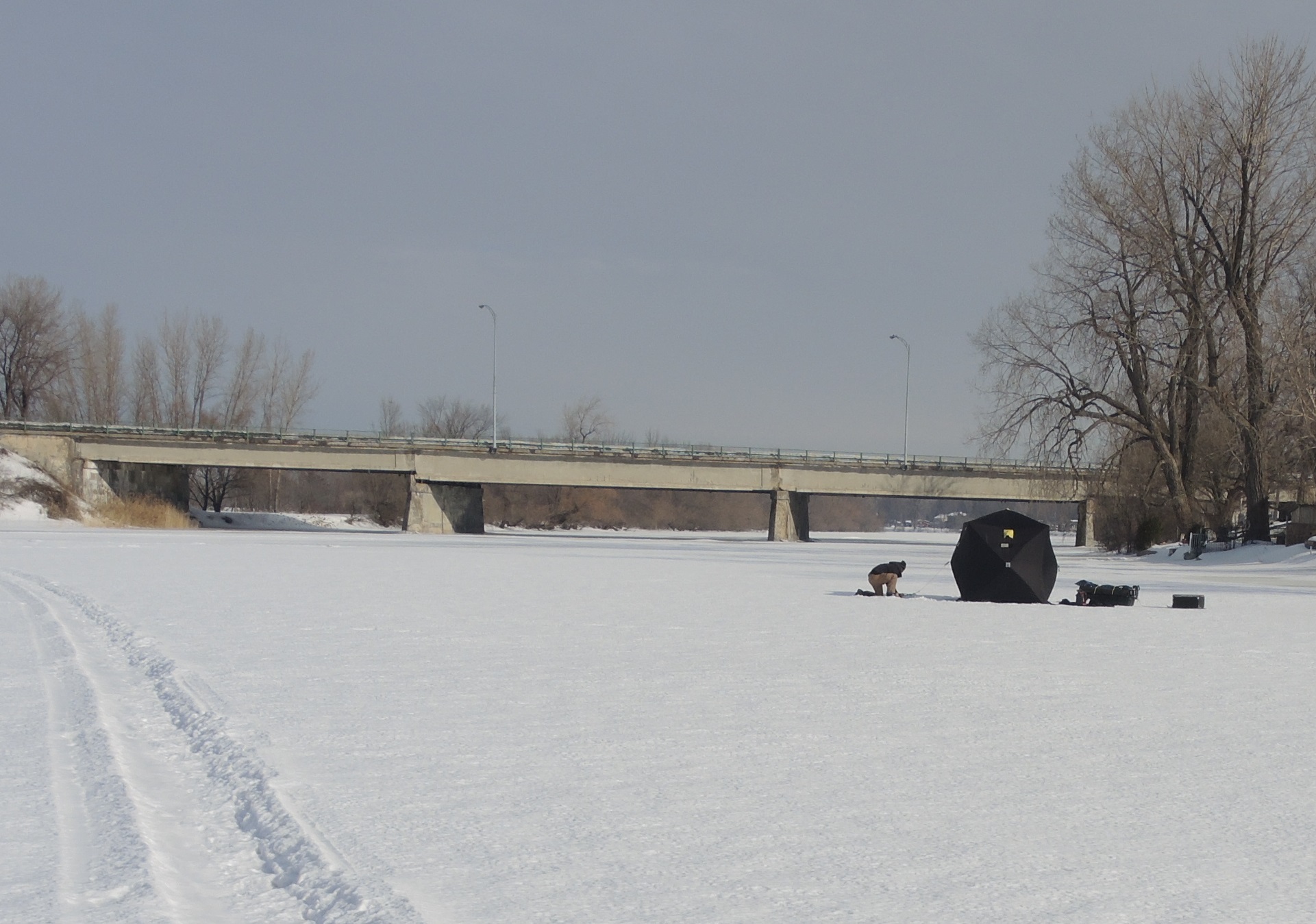 Image illustrant l'article: Fermetures de voies au pont de la Sauvagine du 11 au 29 mars