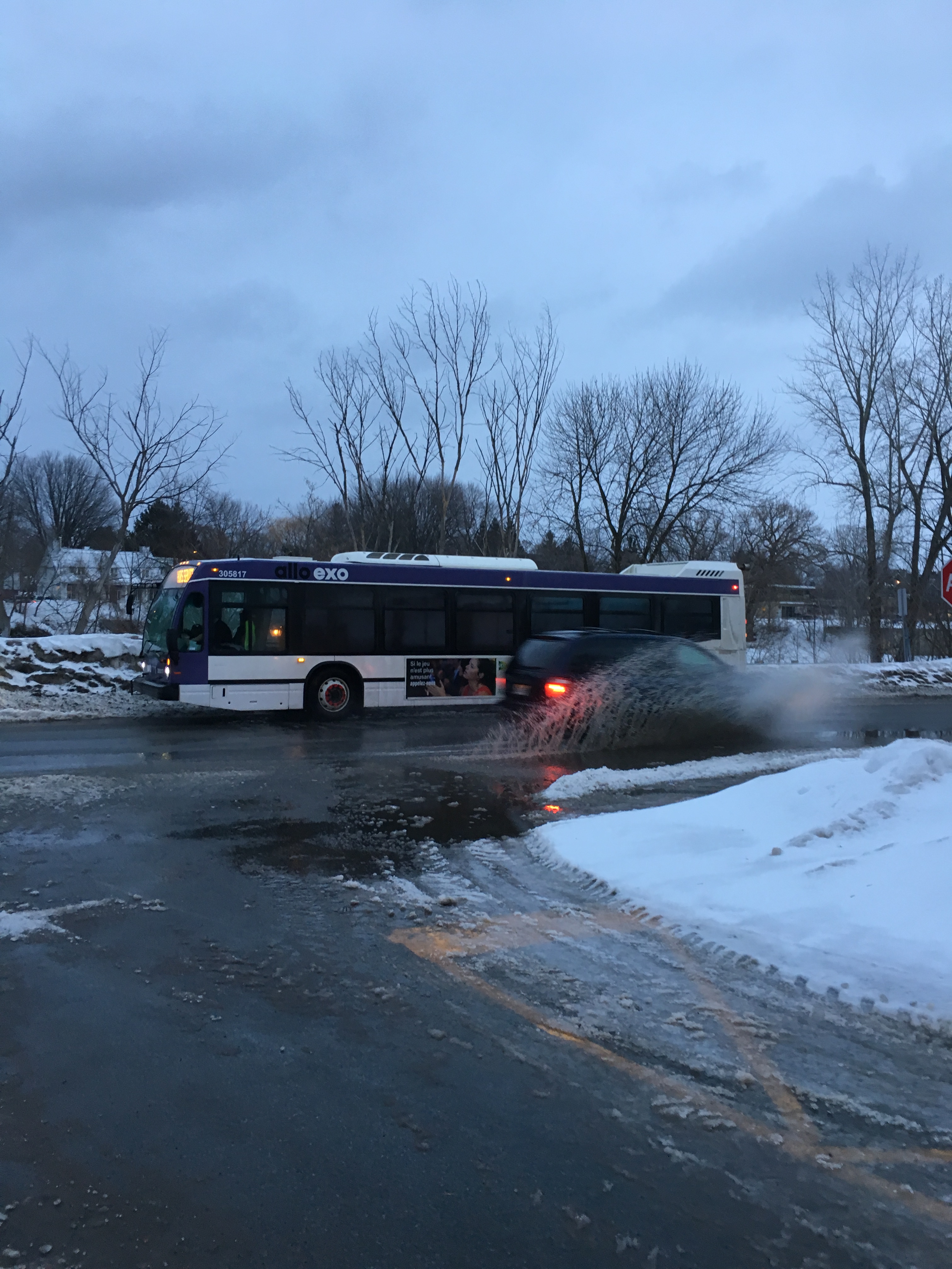 Image illustrant l'article: Multitude de flaques d'eau