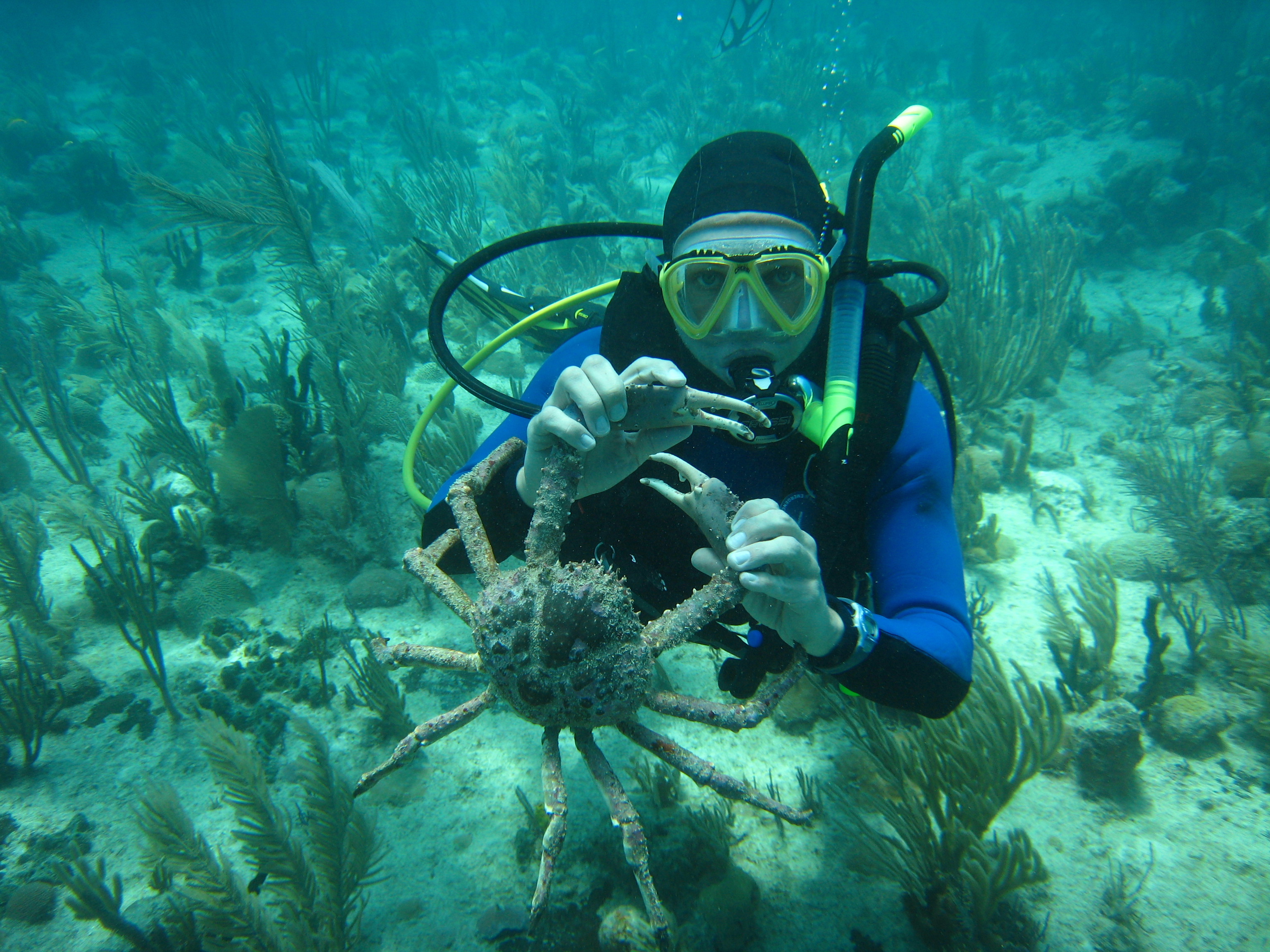 Comme une passion dans l&rsquo;eau
