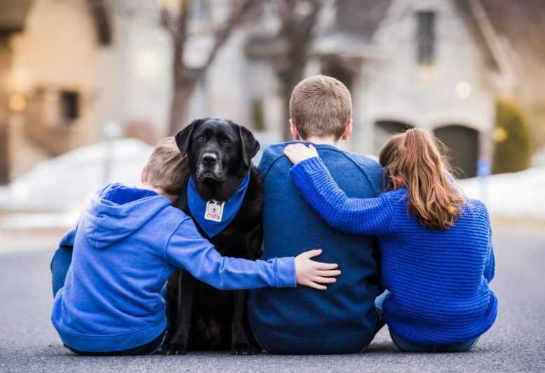 Un chien Mira fait la différence pour un adolescent autiste