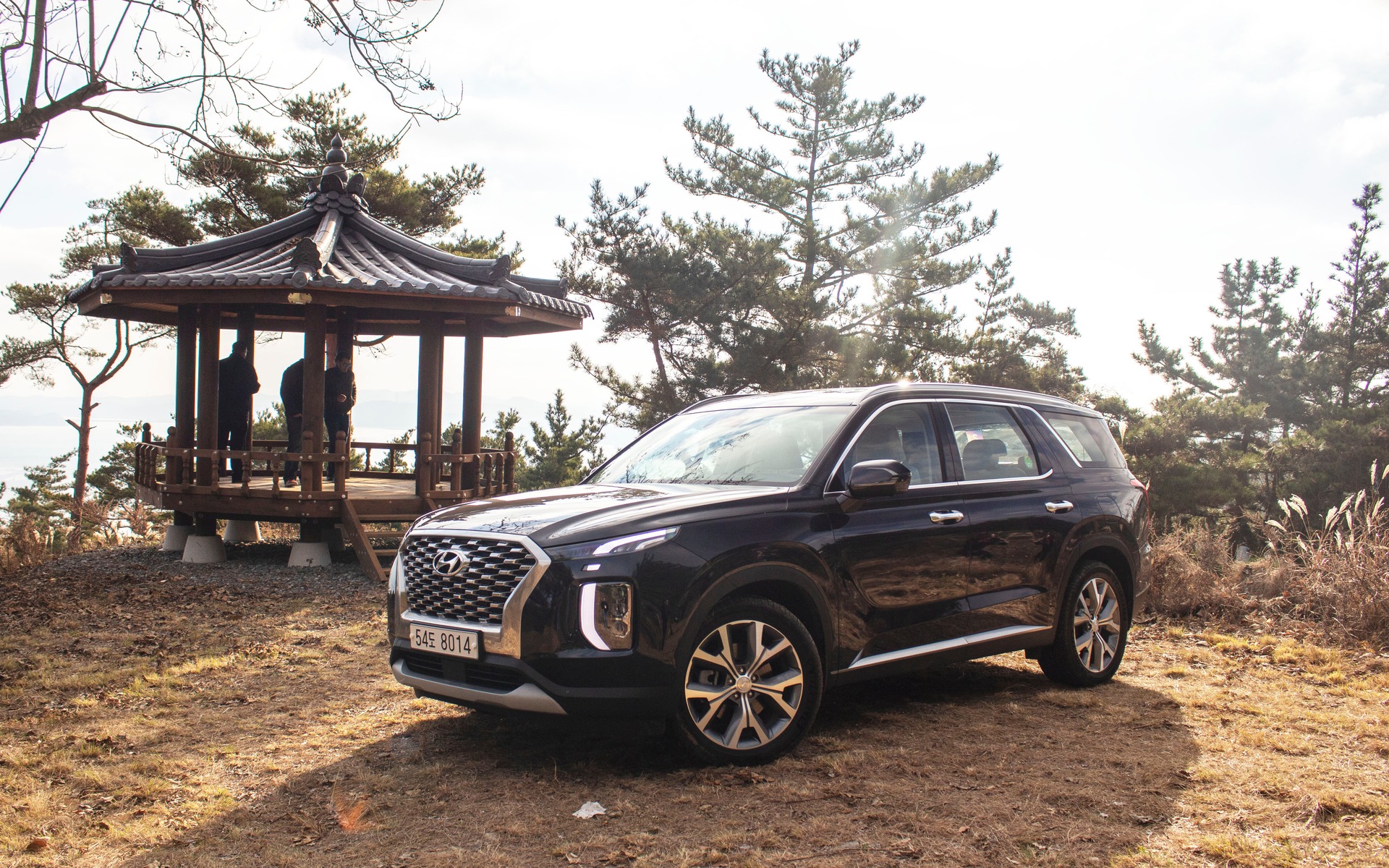 Image illustrant l'article: Hyundai Palisade 2020 : cinq choses à savoir
