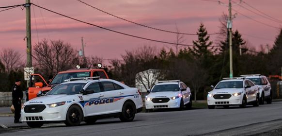 Image illustrant l'article: Cas de rage au volant impliquant une fausse arme à feu
