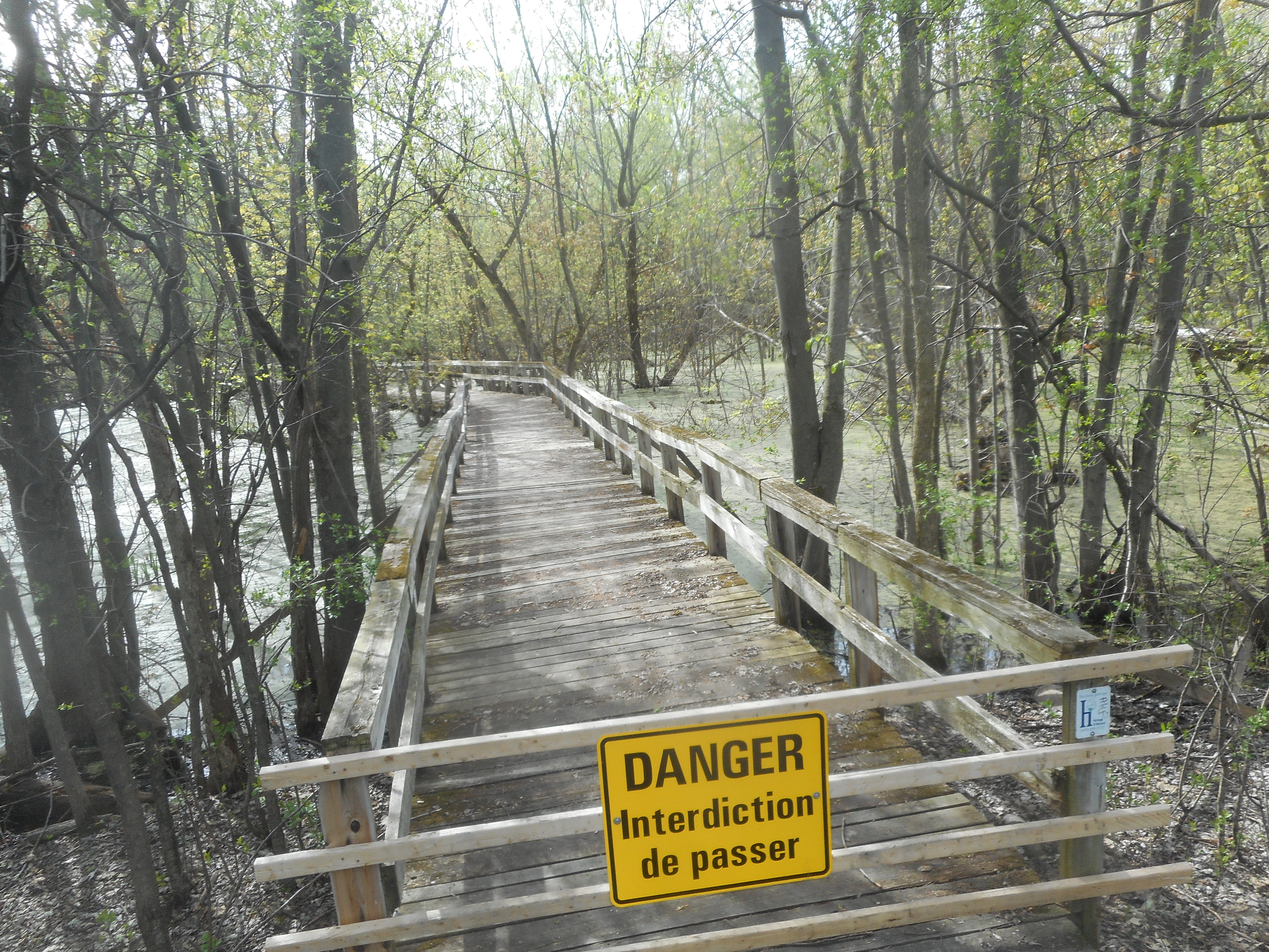 La passerelle du ruisseau Saint-Jean finalement reconstruite