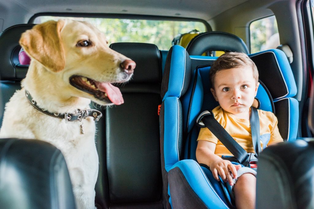 Image illustrant l'article: Enfants et animaux laissés seuls dans la voiture: soyez vigilants !