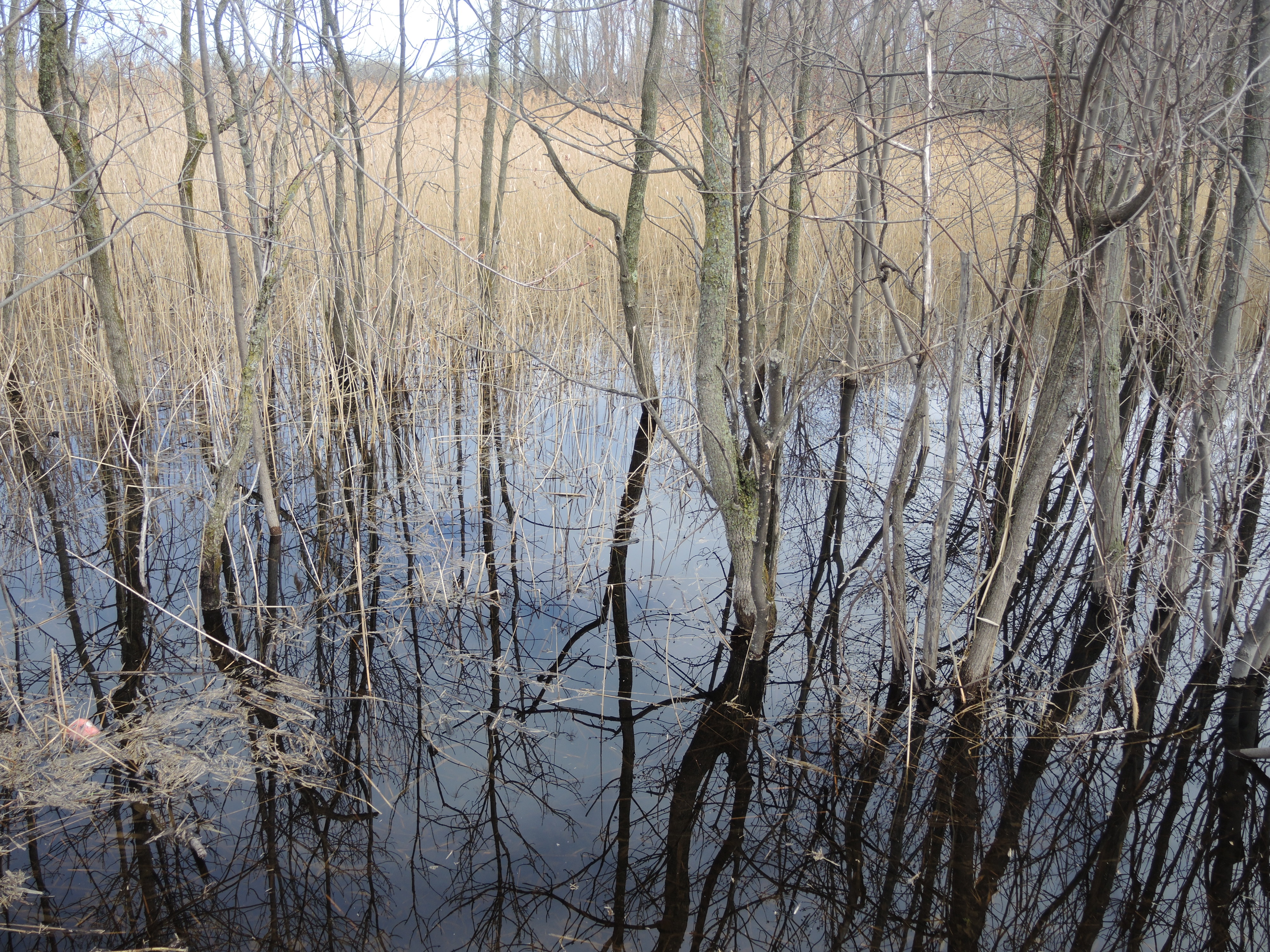 Image illustrant l'article: Châteauguay: projets de développement controversés dans le corridor vert