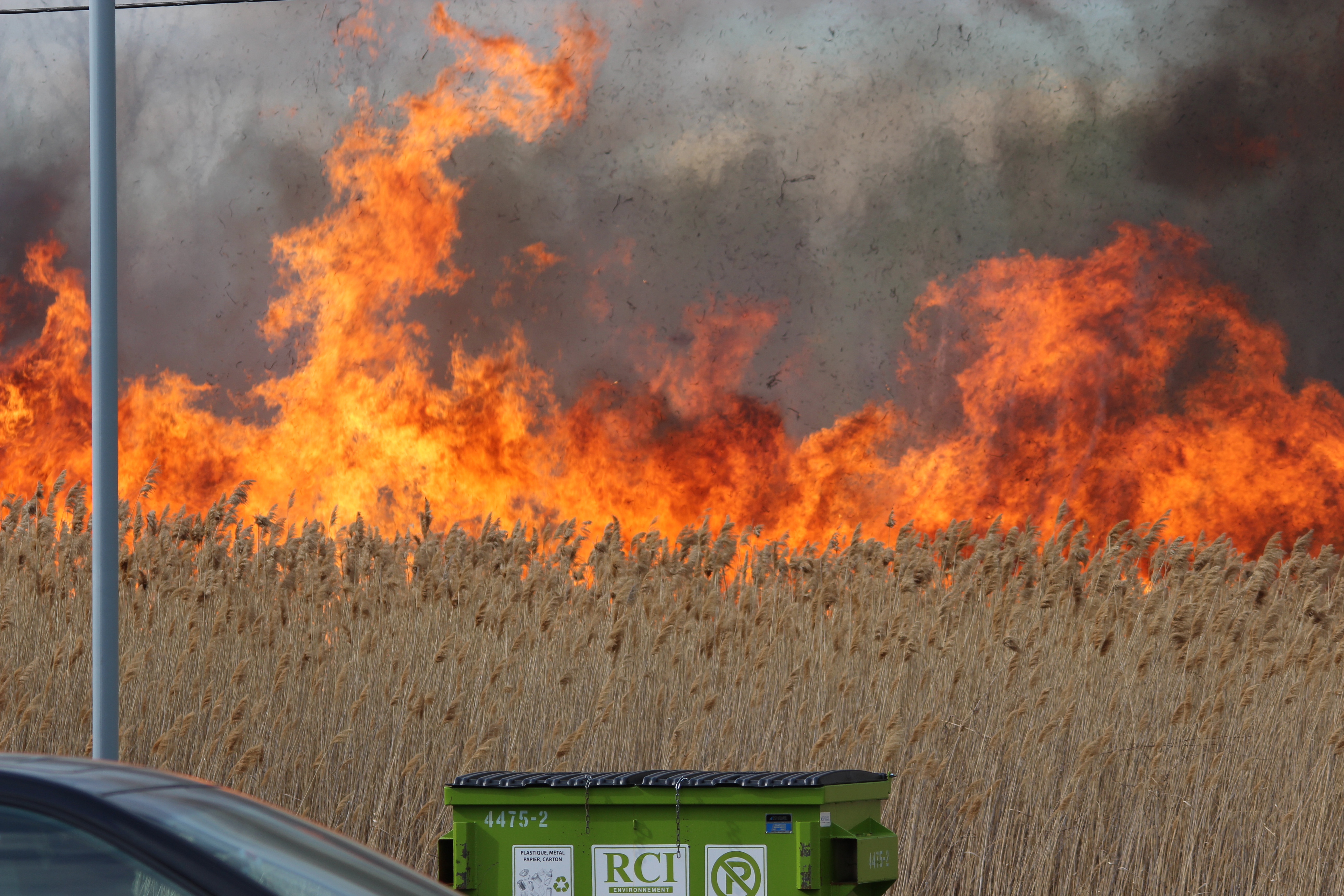 Image illustrant l'article: Un feu de broussailles a mobilisé les pompiers à Châteauguay