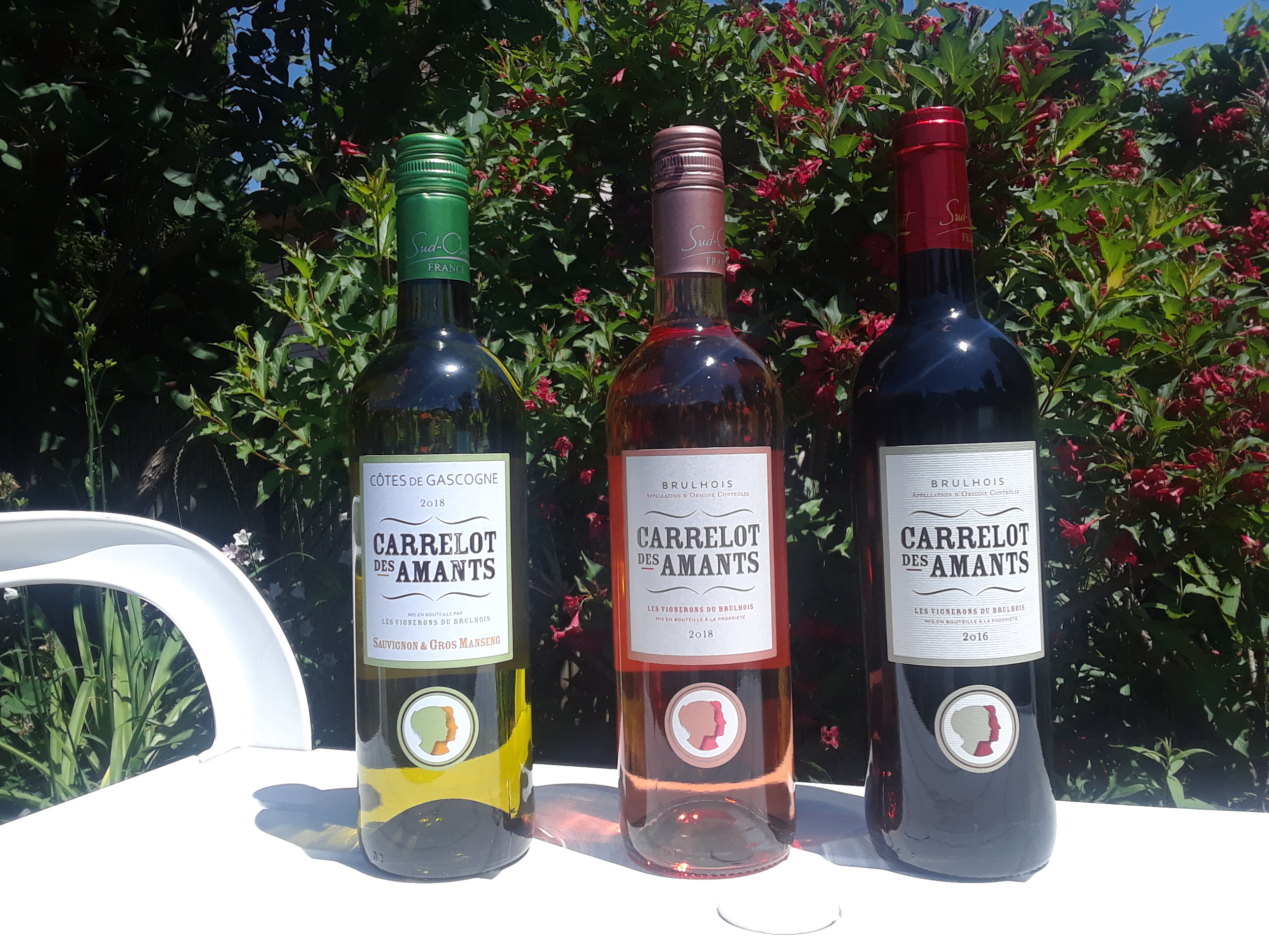 Chronique vin: Un trio très abordable