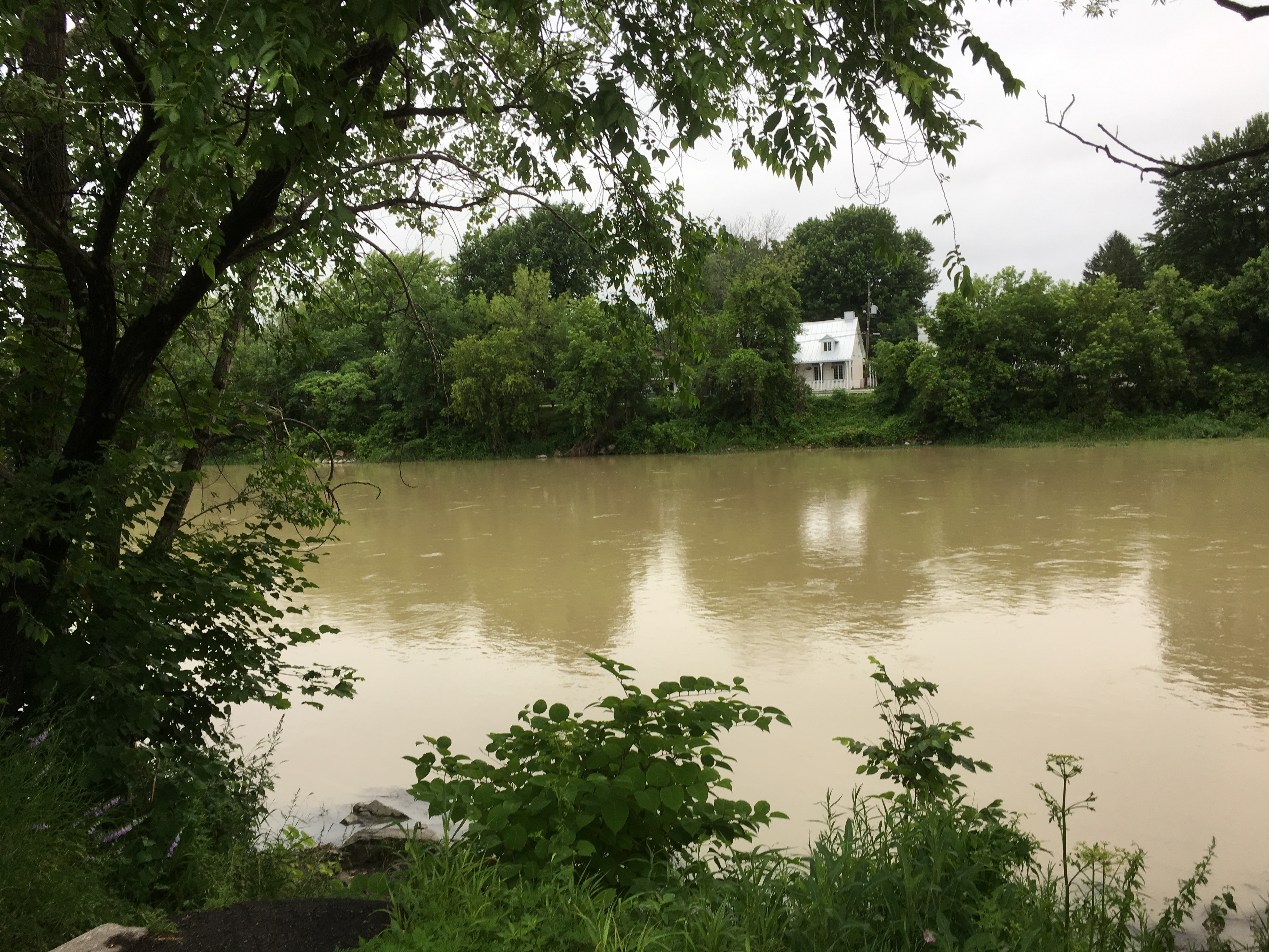 Pourquoi la rivière Châteauguay a changé de couleur