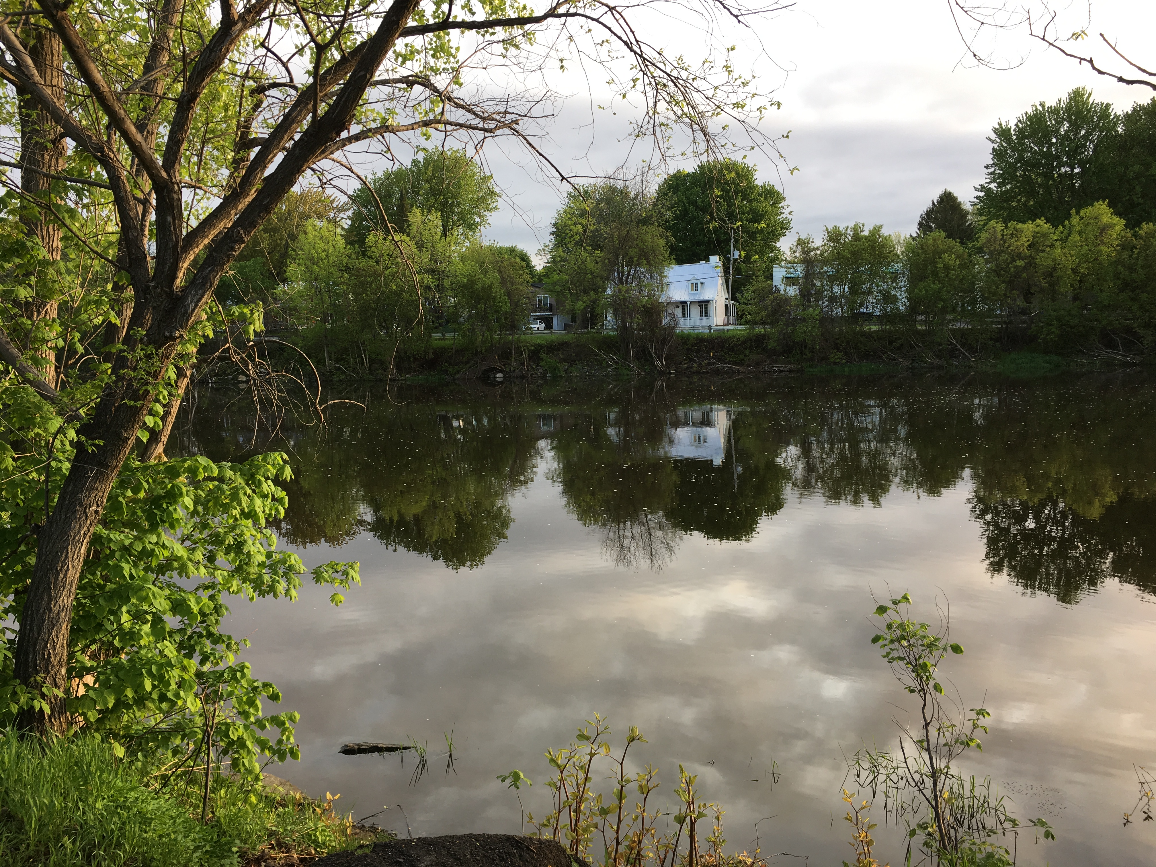 Dans 25 ans on pourra se baigner dans la rivière Châteauguay