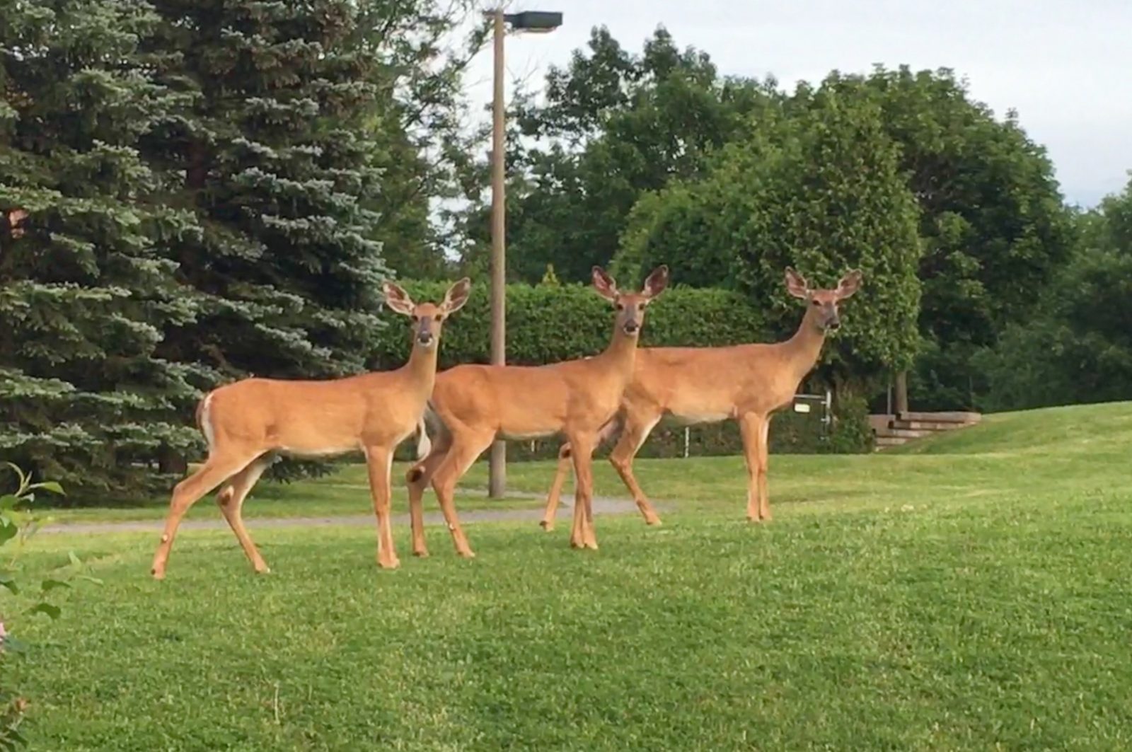 Un cliché spectaculaire !