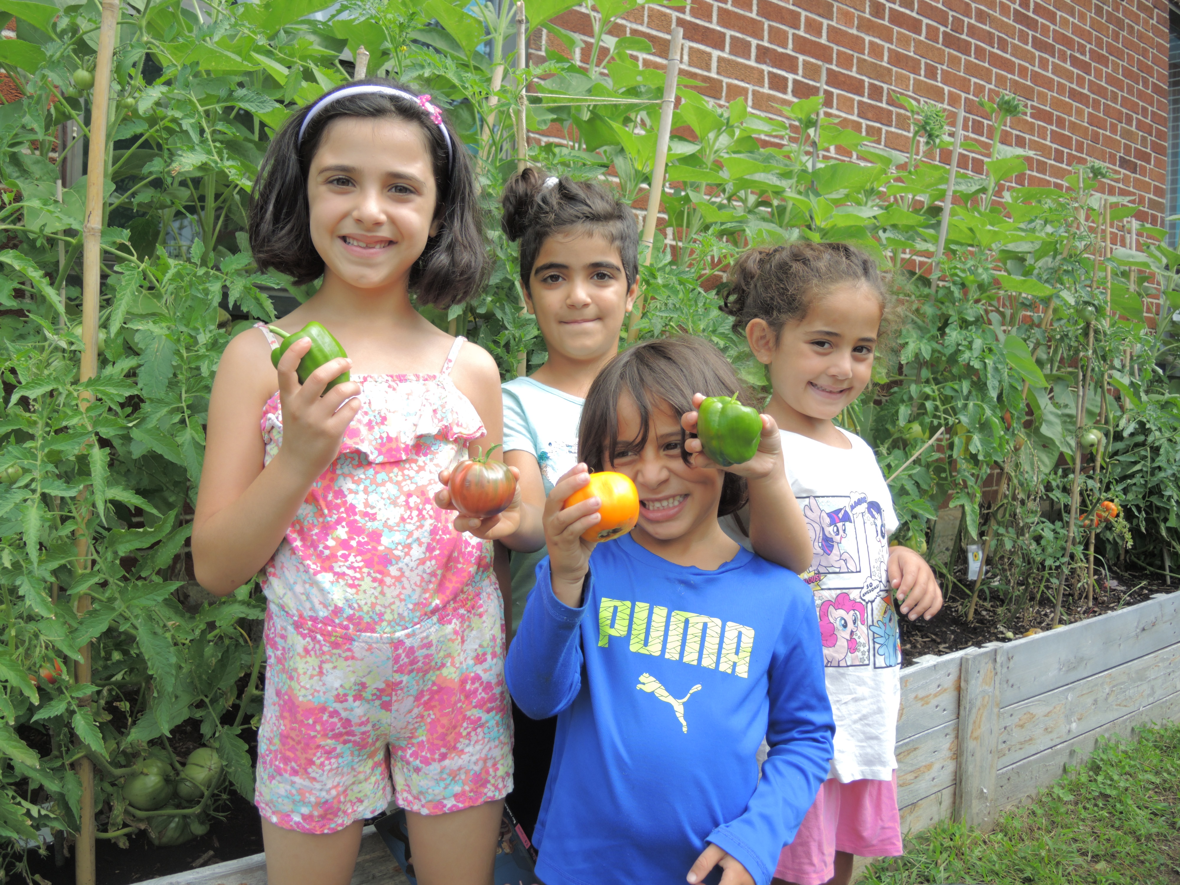 Fruits et légumes en trop du jardin récupérés par les « Glaneuses »